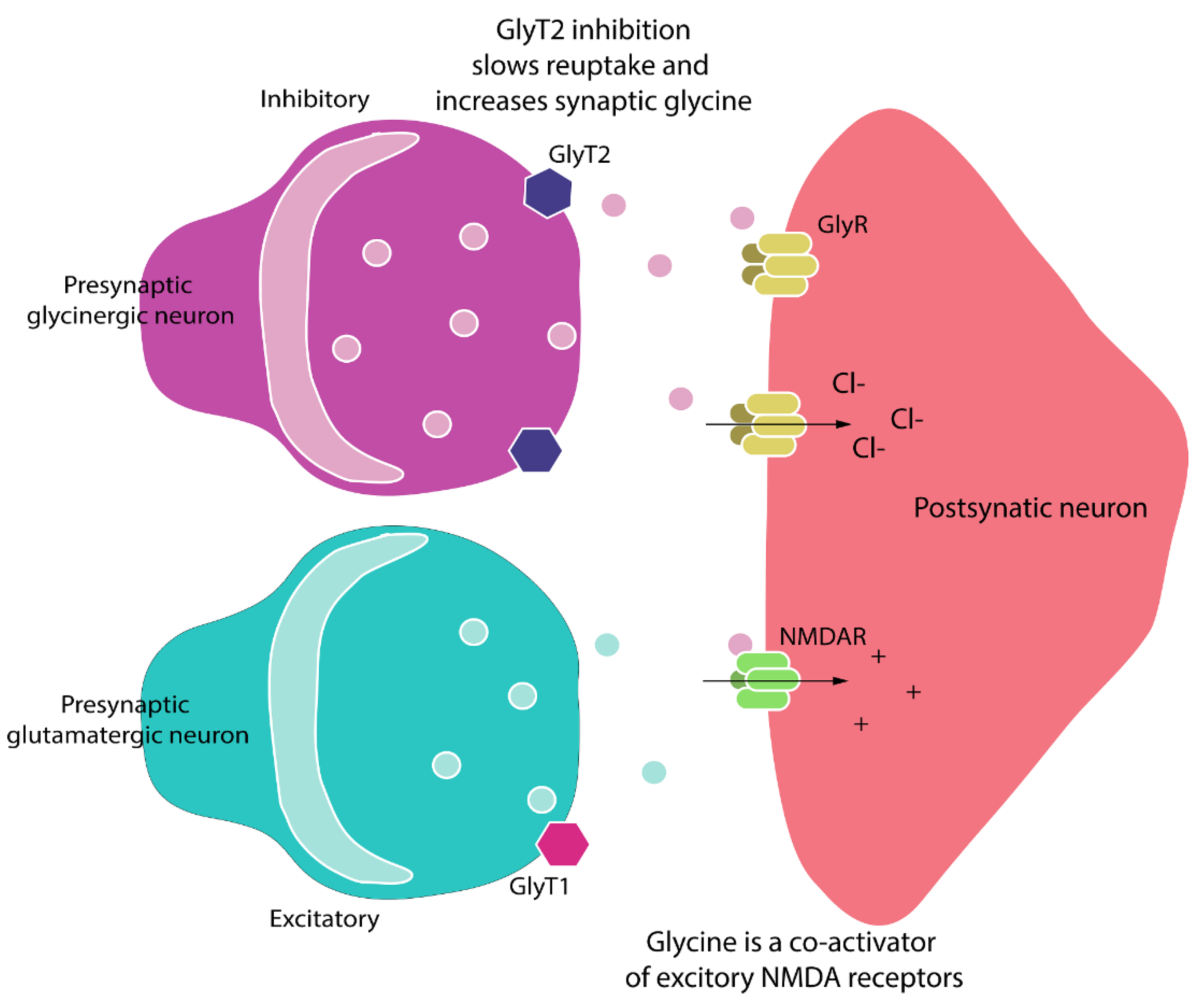 Biomolecules 11 00940 g007 Biomolecules 11 00940 g007