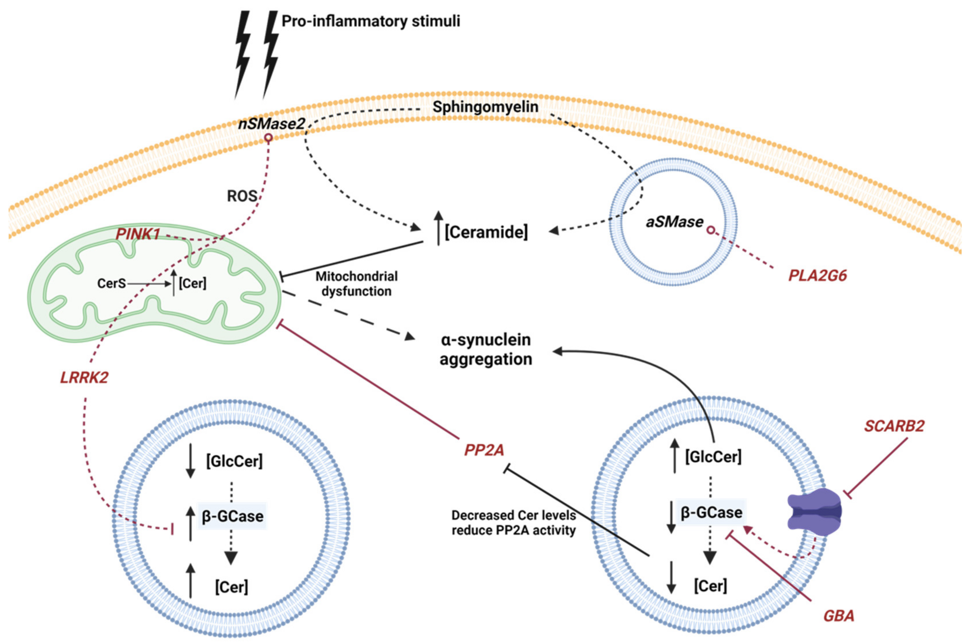 Biomolecules 11 00945 g002 550