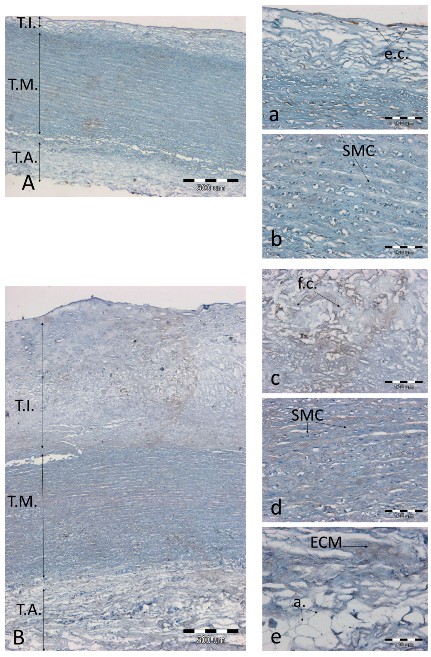 Biomolecules 11 00946 g007 Biomolecules 11 00946 g007