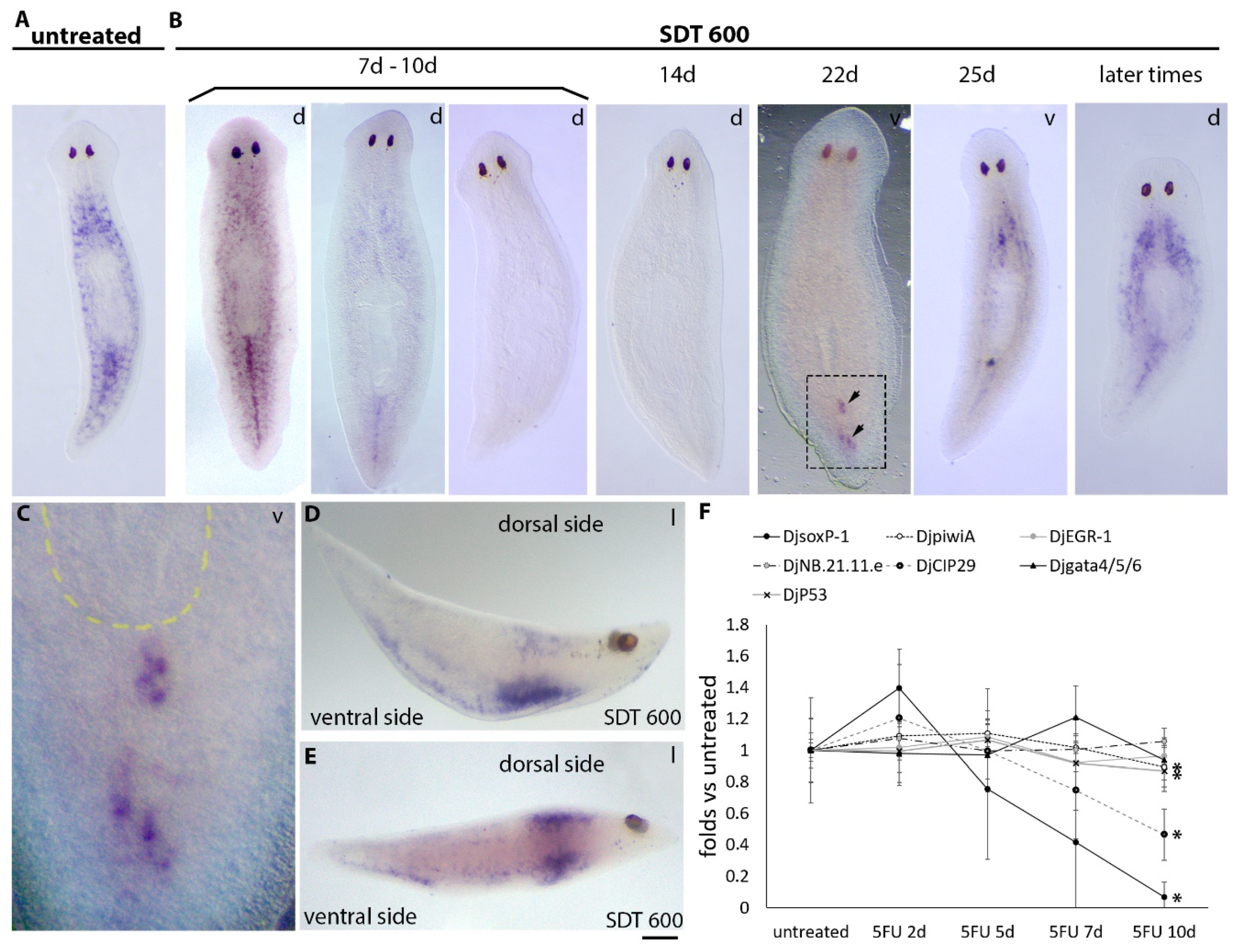 Biomolecules 11 00949 g001 Biomolecules 11 00949 g001