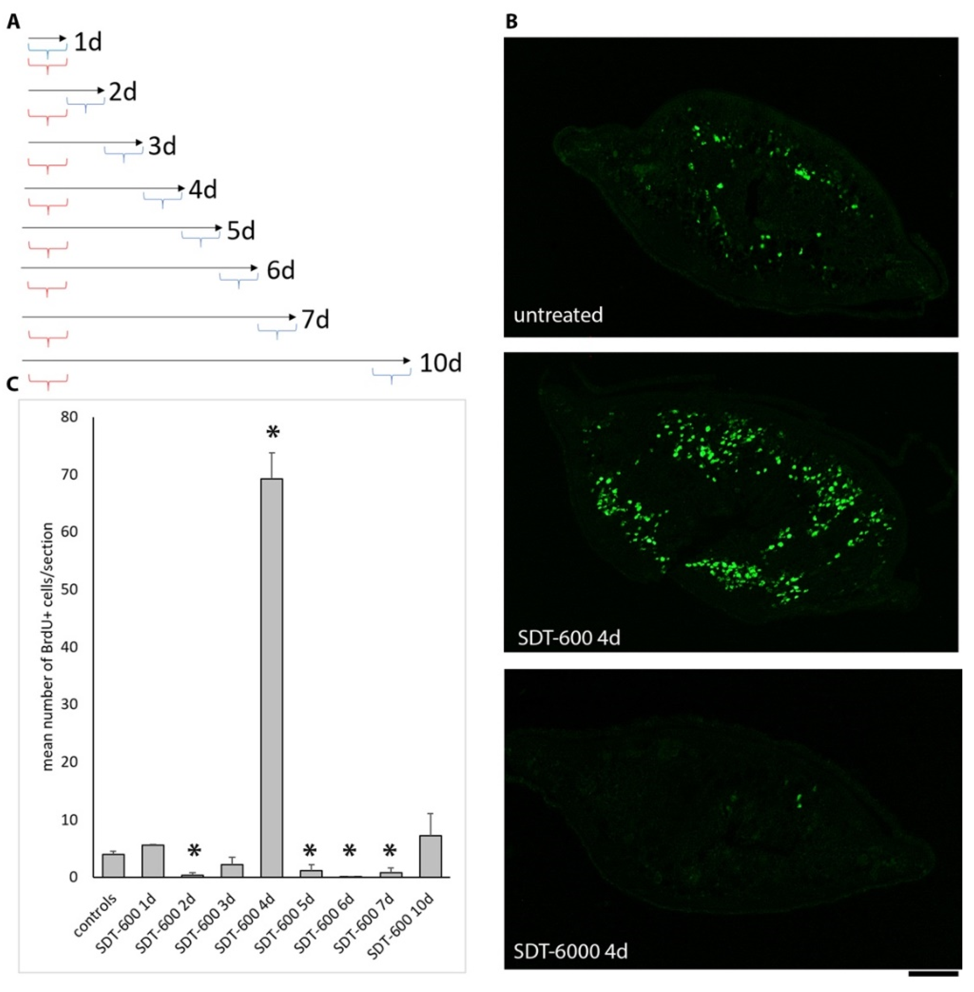 Biomolecules 11 00949 g004 Biomolecules 11 00949 g004