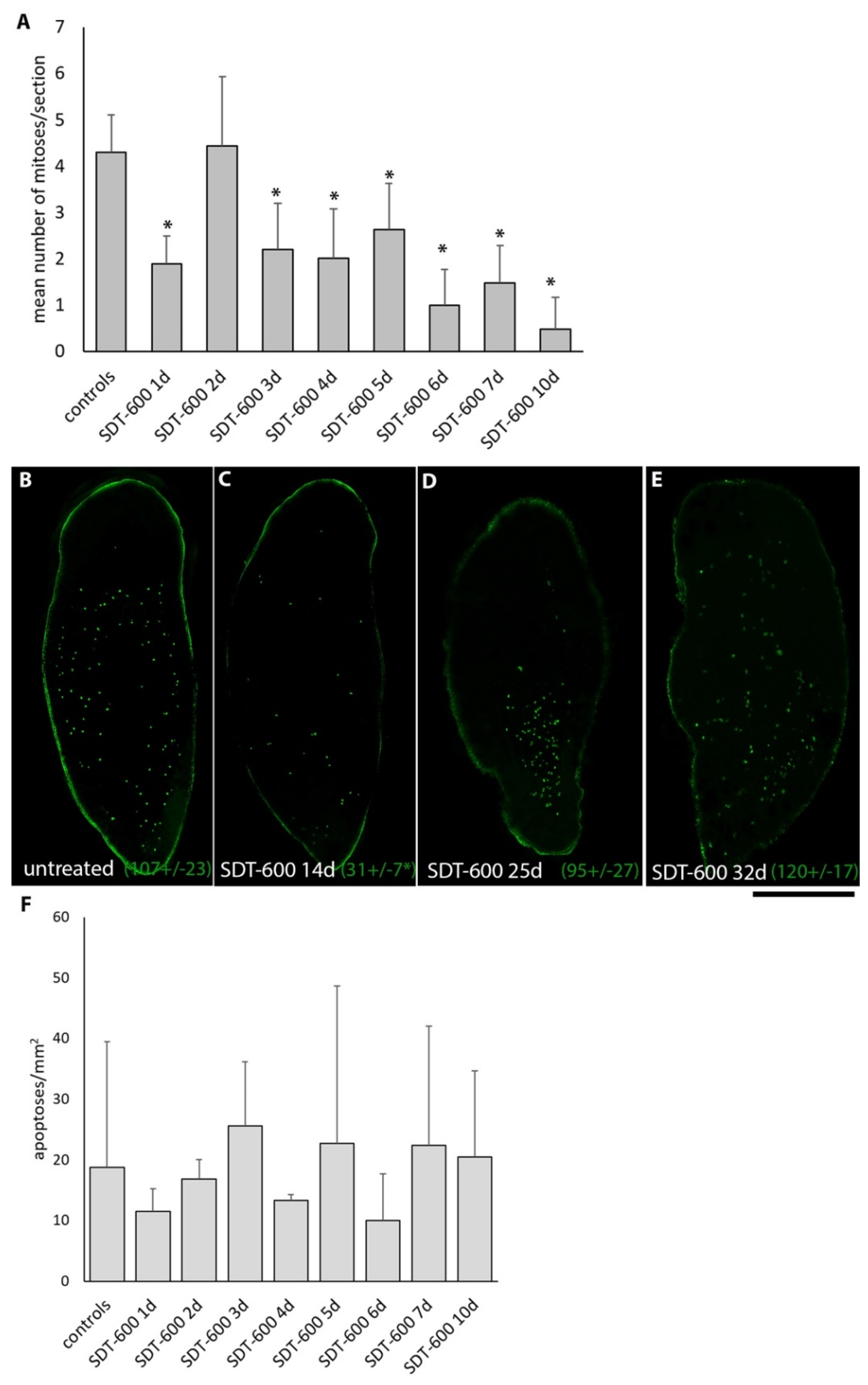 Biomolecules 11 00949 g005 Biomolecules 11 00949 g005