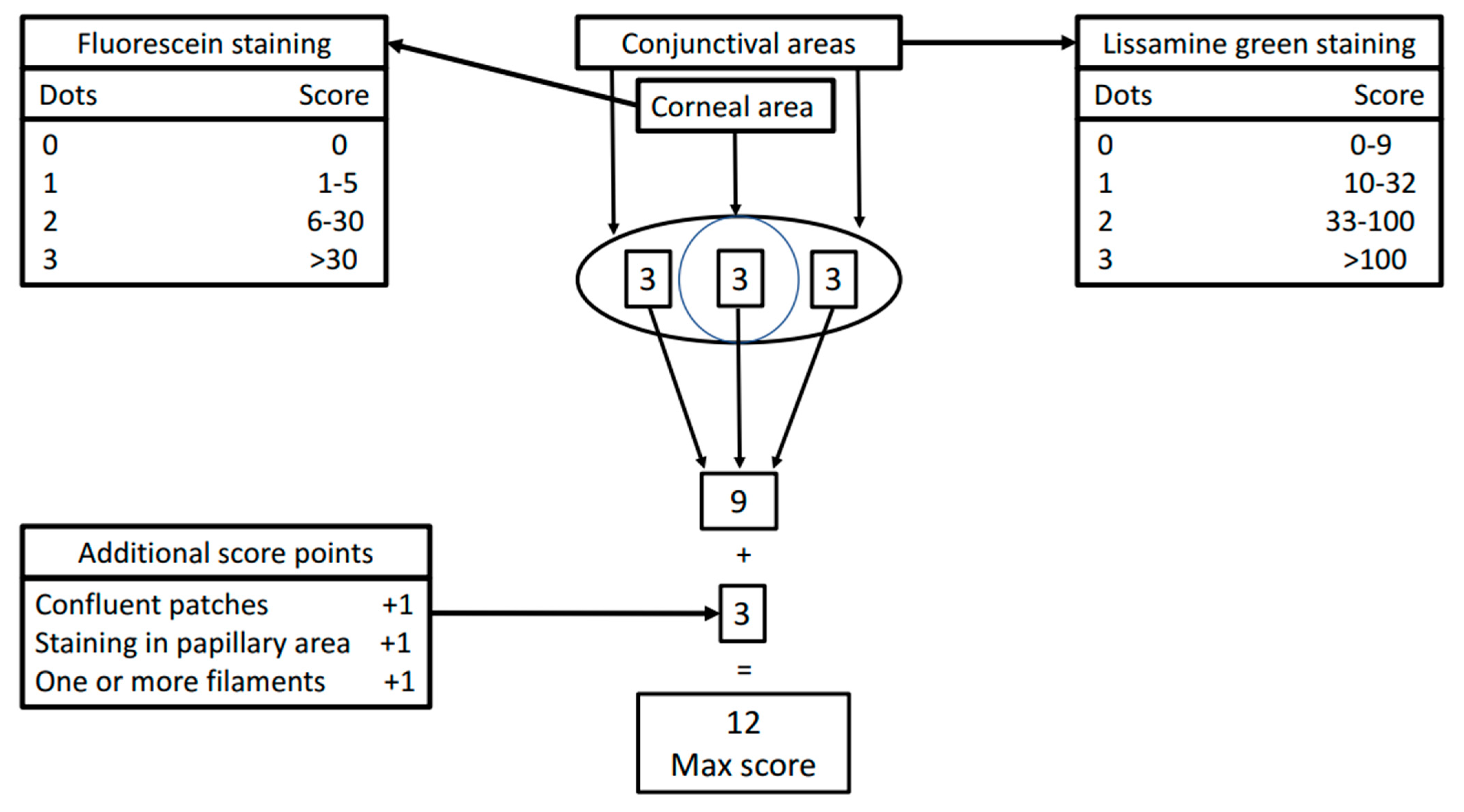 Biomolecules 11 00953 g001 Biomolecules 11 00953 g001