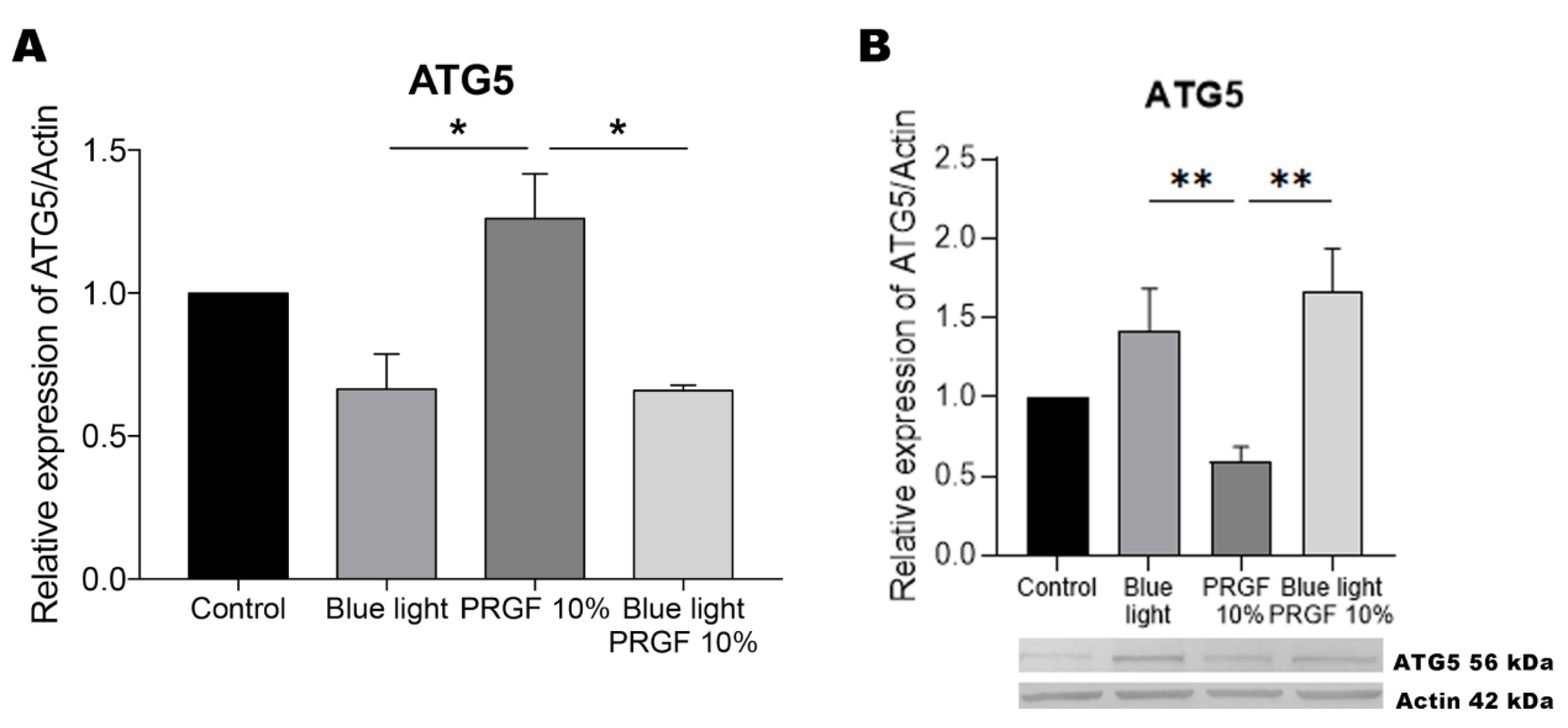 Biomolecules 11 00954 g005 Biomolecules 11 00954 g005