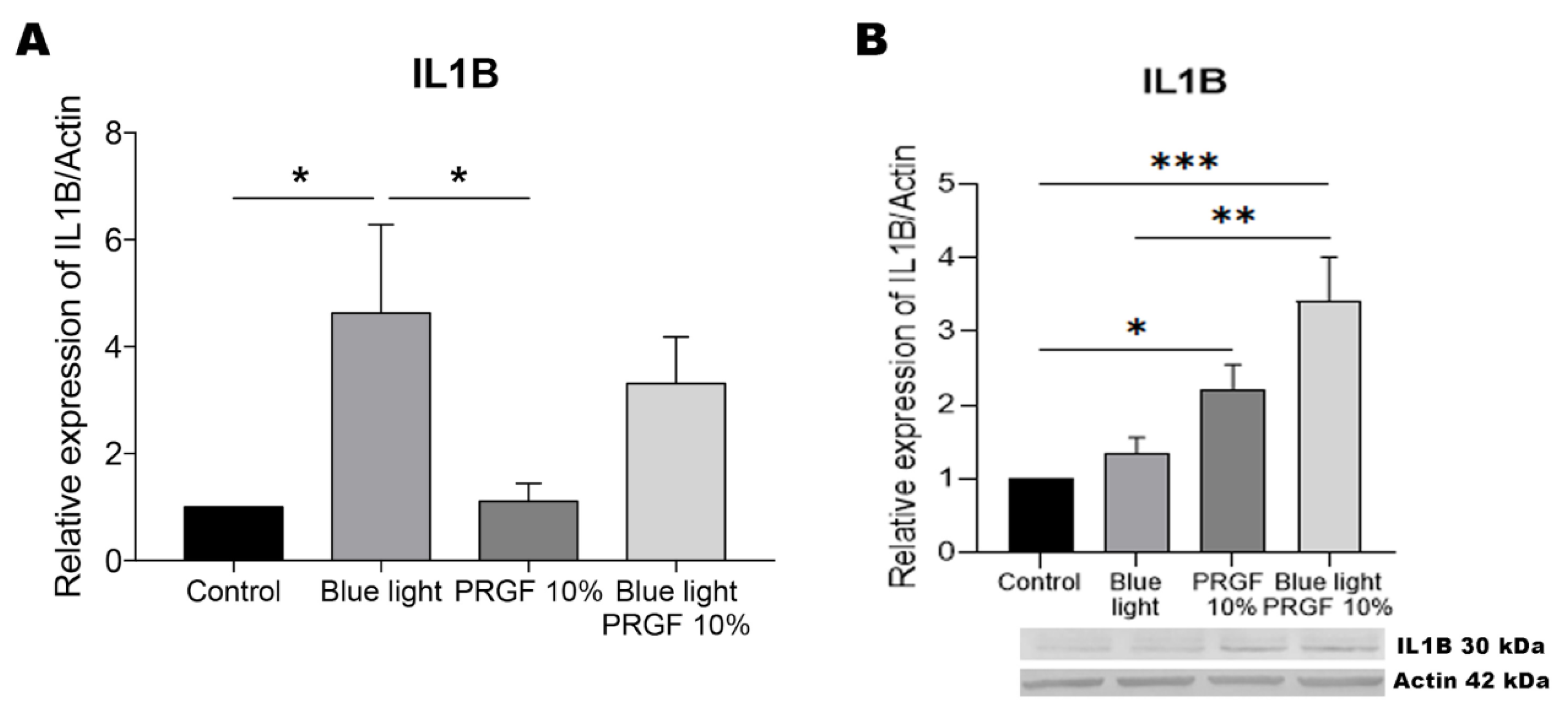 Biomolecules 11 00954 g008 Biomolecules 11 00954 g008