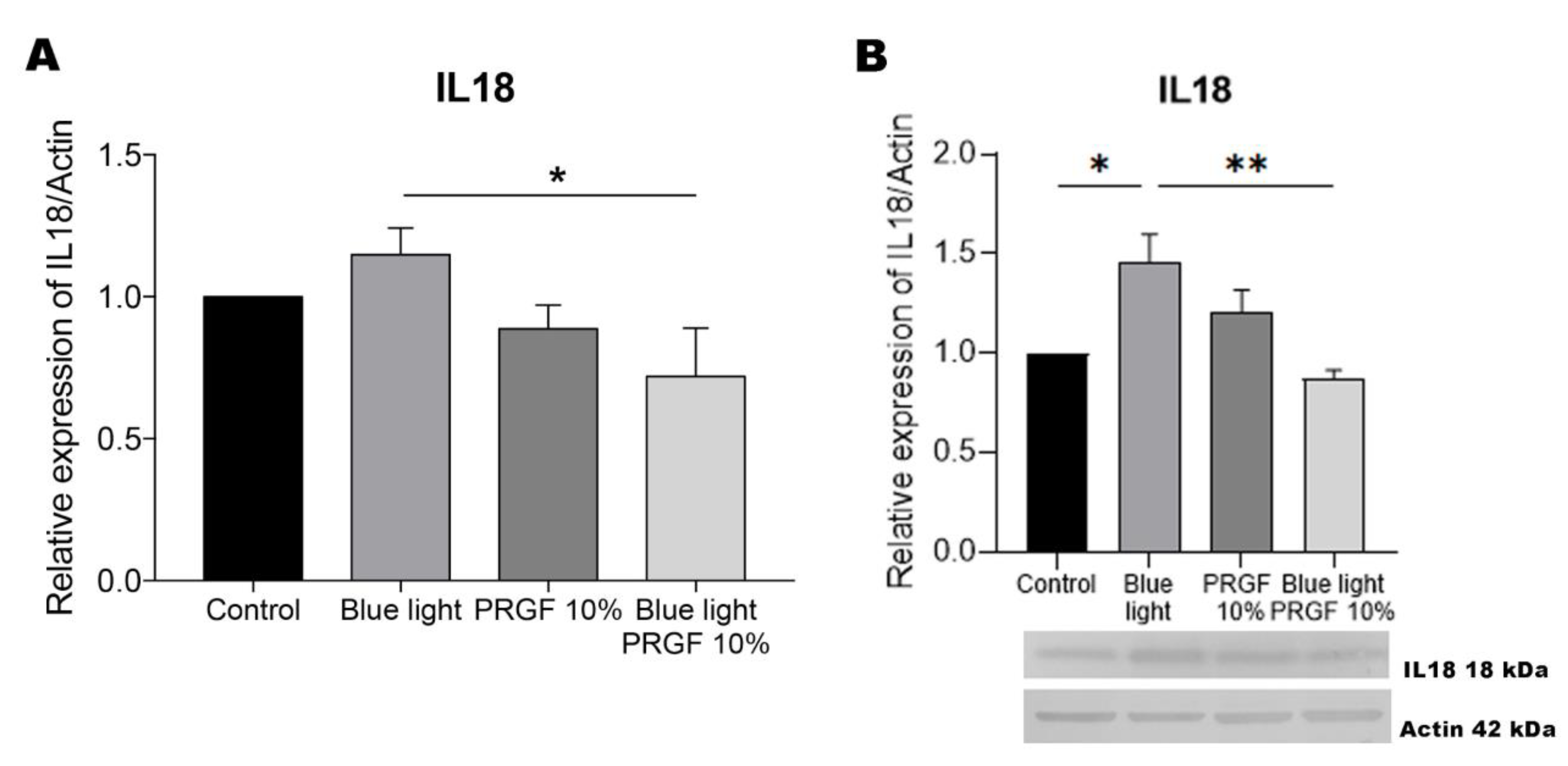 Biomolecules 11 00954 g009 Biomolecules 11 00954 g009