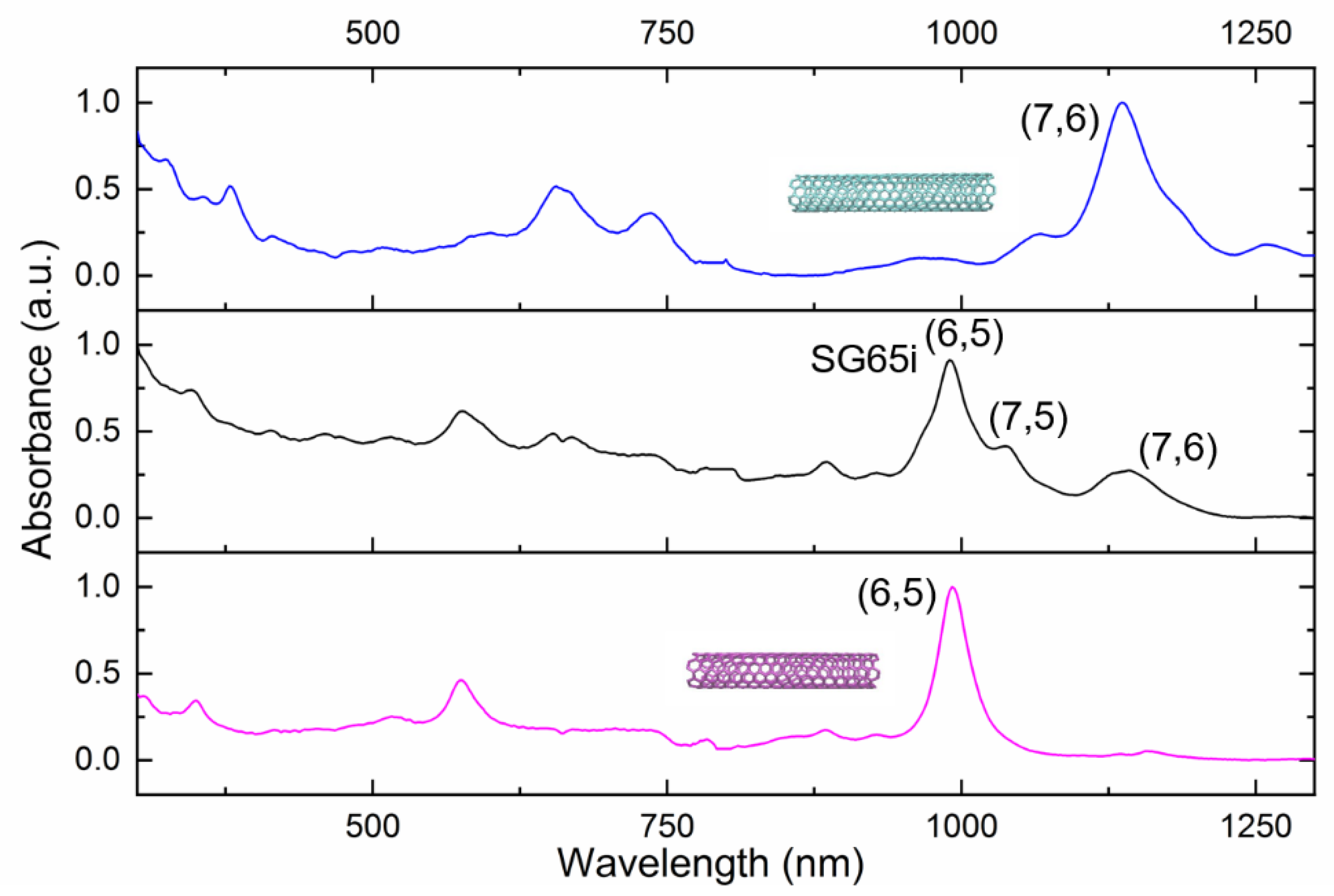 Biomolecules 11 00955 g001