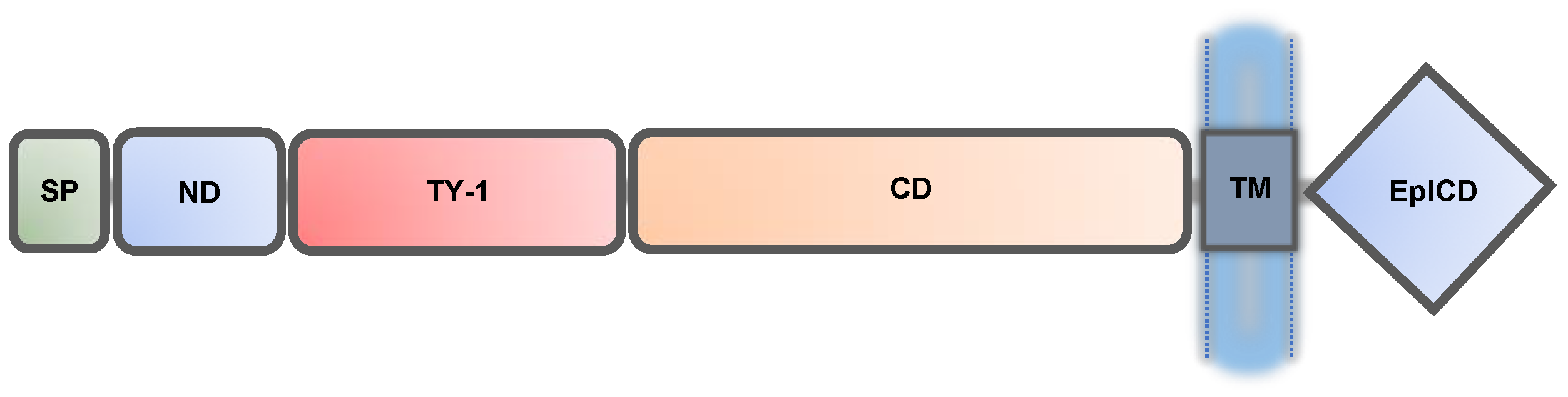 Biomolecules 11 00956 g001 Biomolecules 11 00956 g001