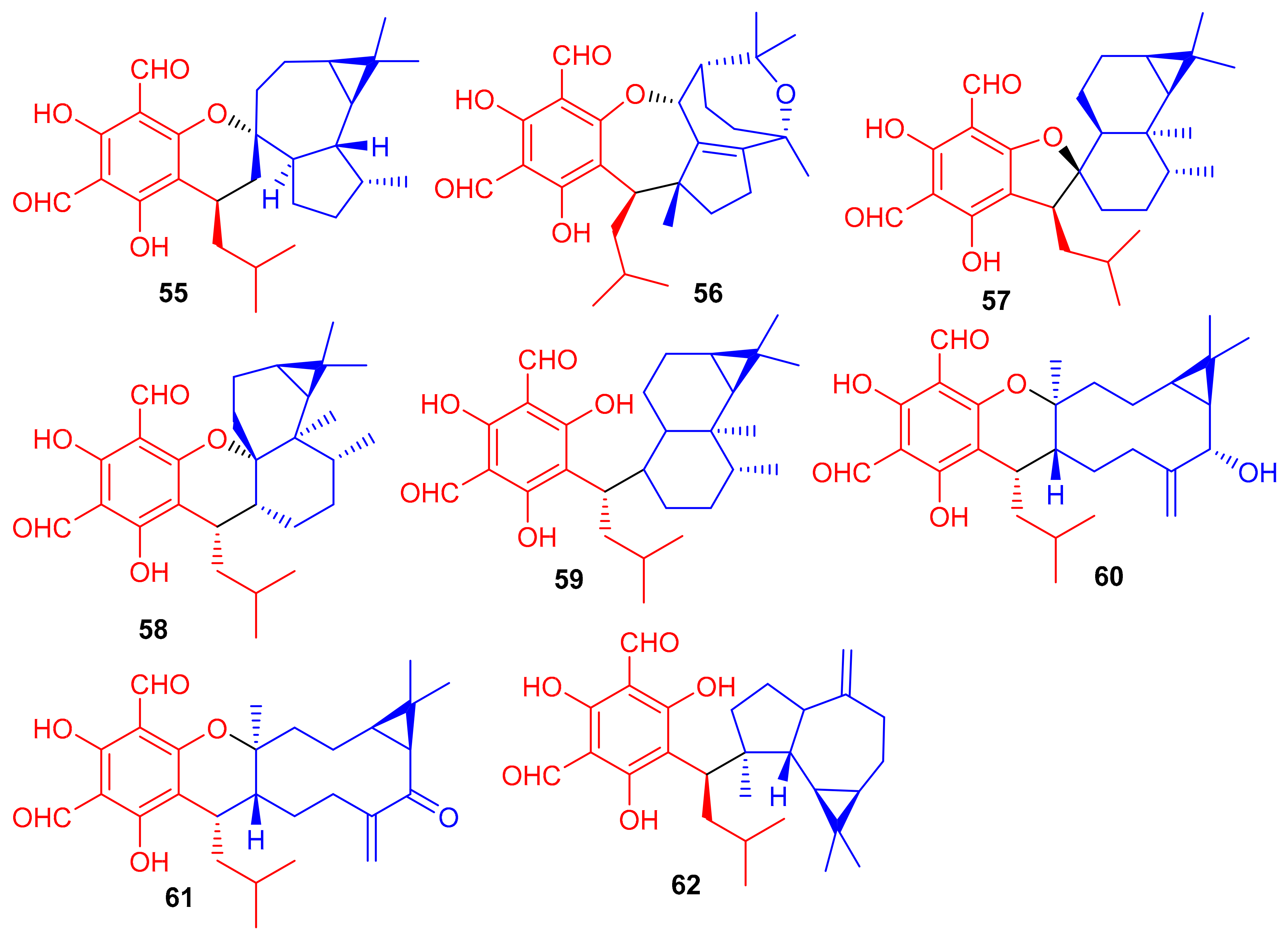 Biomolecules 11 00957 g008