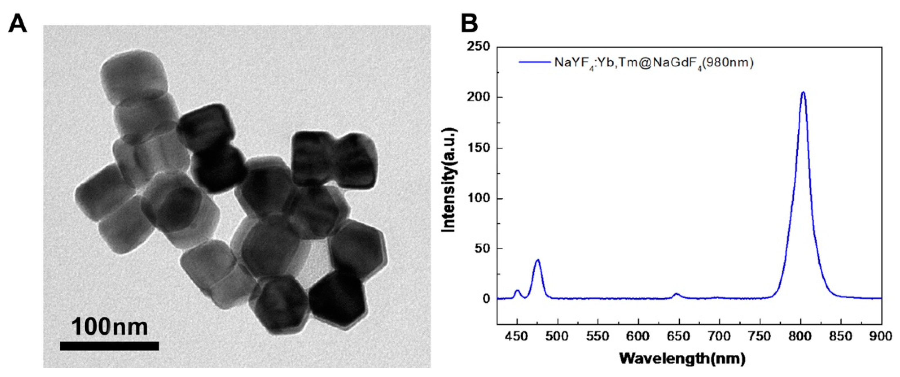 Biomolecules 11 00958 g002 Biomolecules 11 00958 g002
