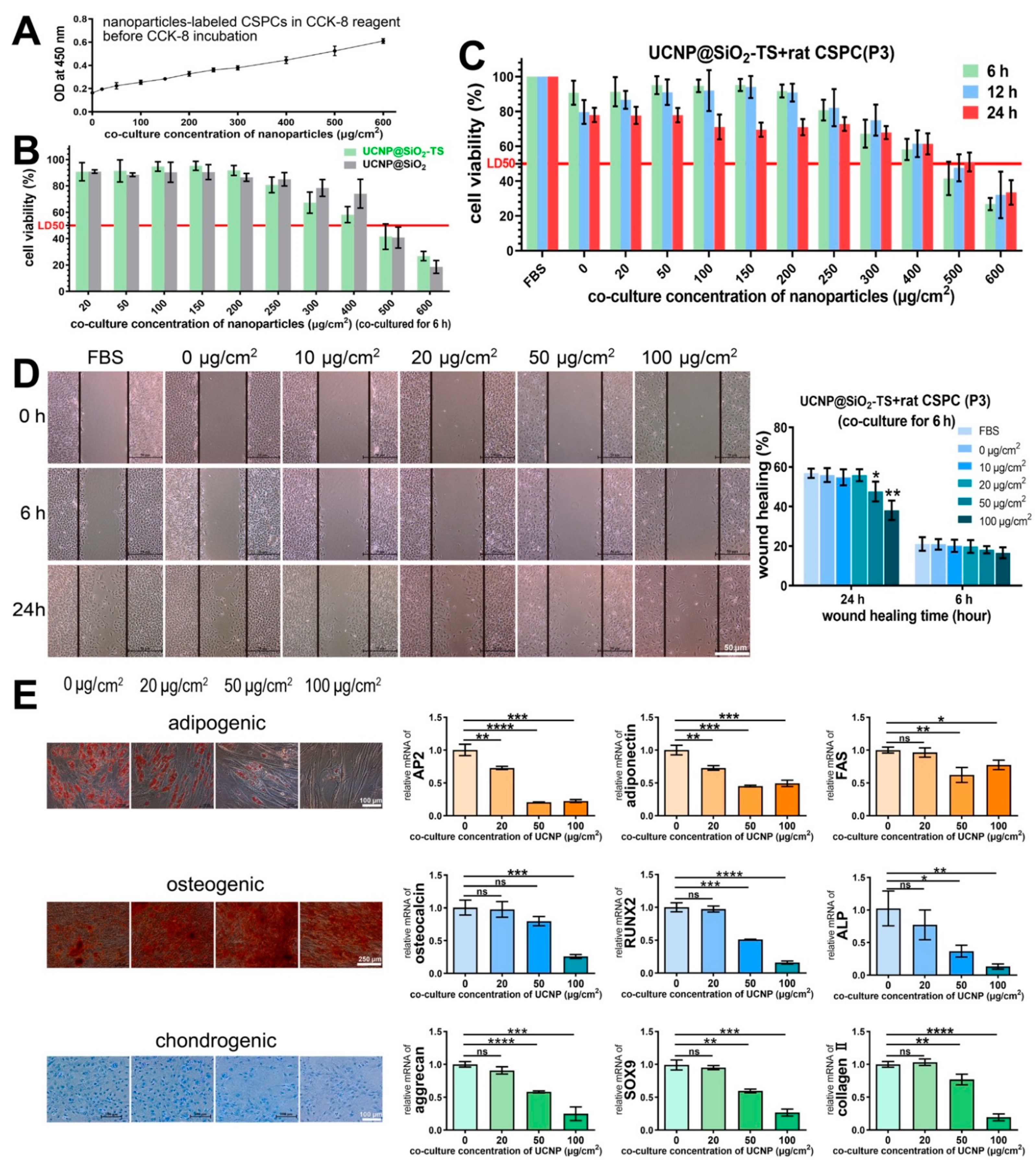Biomolecules 11 00958 g005 Biomolecules 11 00958 g005