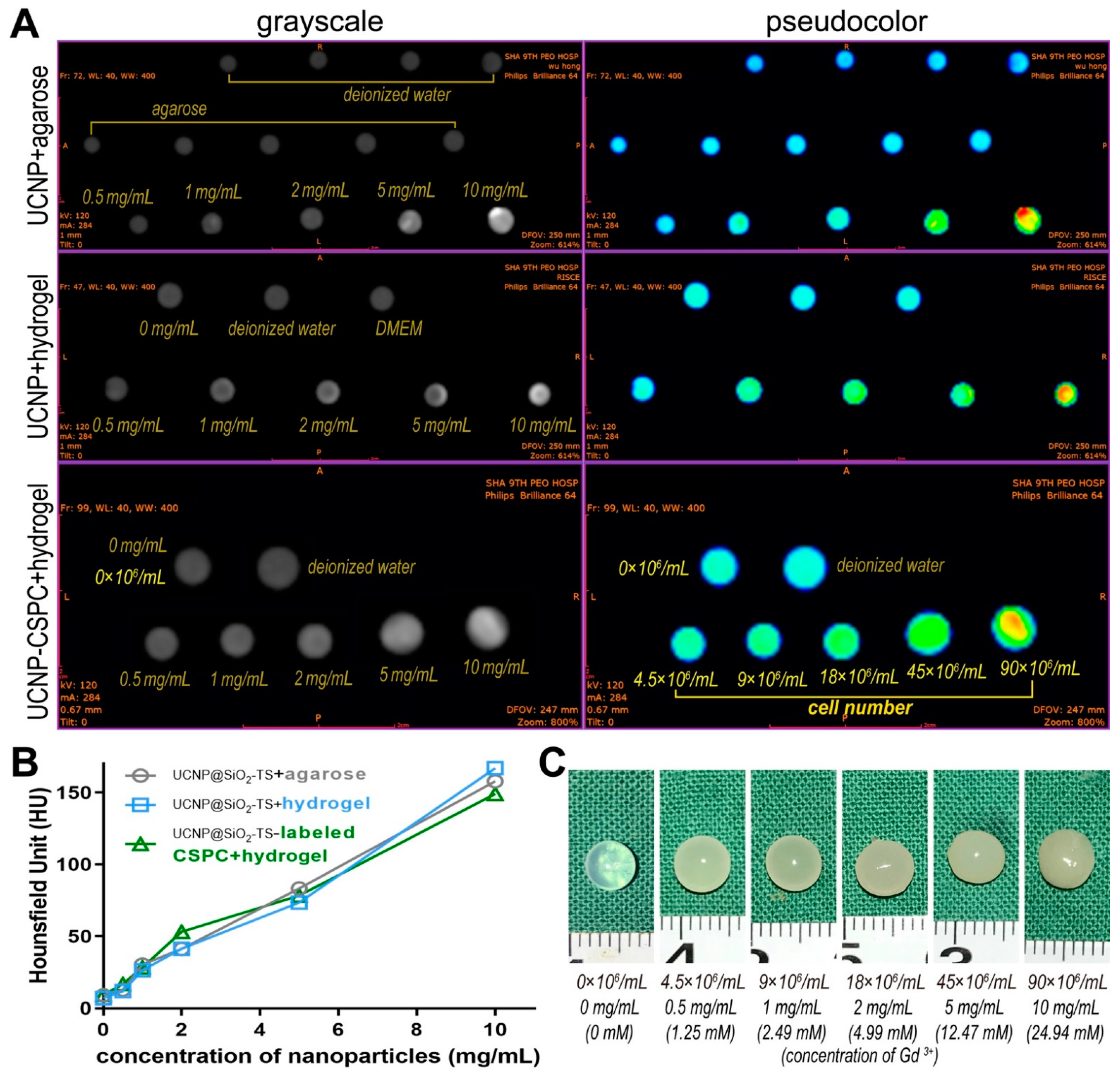 Biomolecules 11 00958 g006 Biomolecules 11 00958 g006
