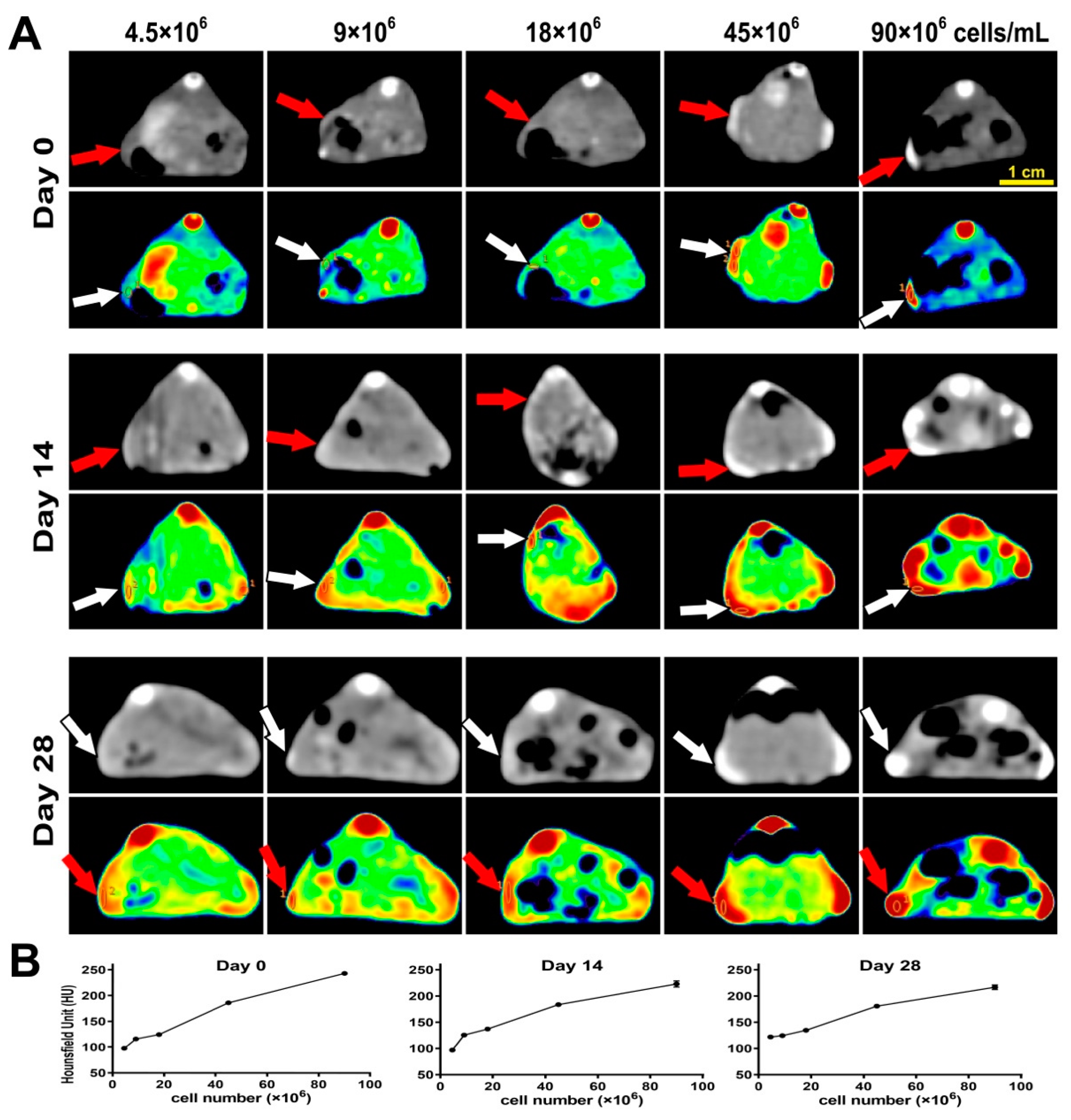 Biomolecules 11 00958 g007 Biomolecules 11 00958 g007