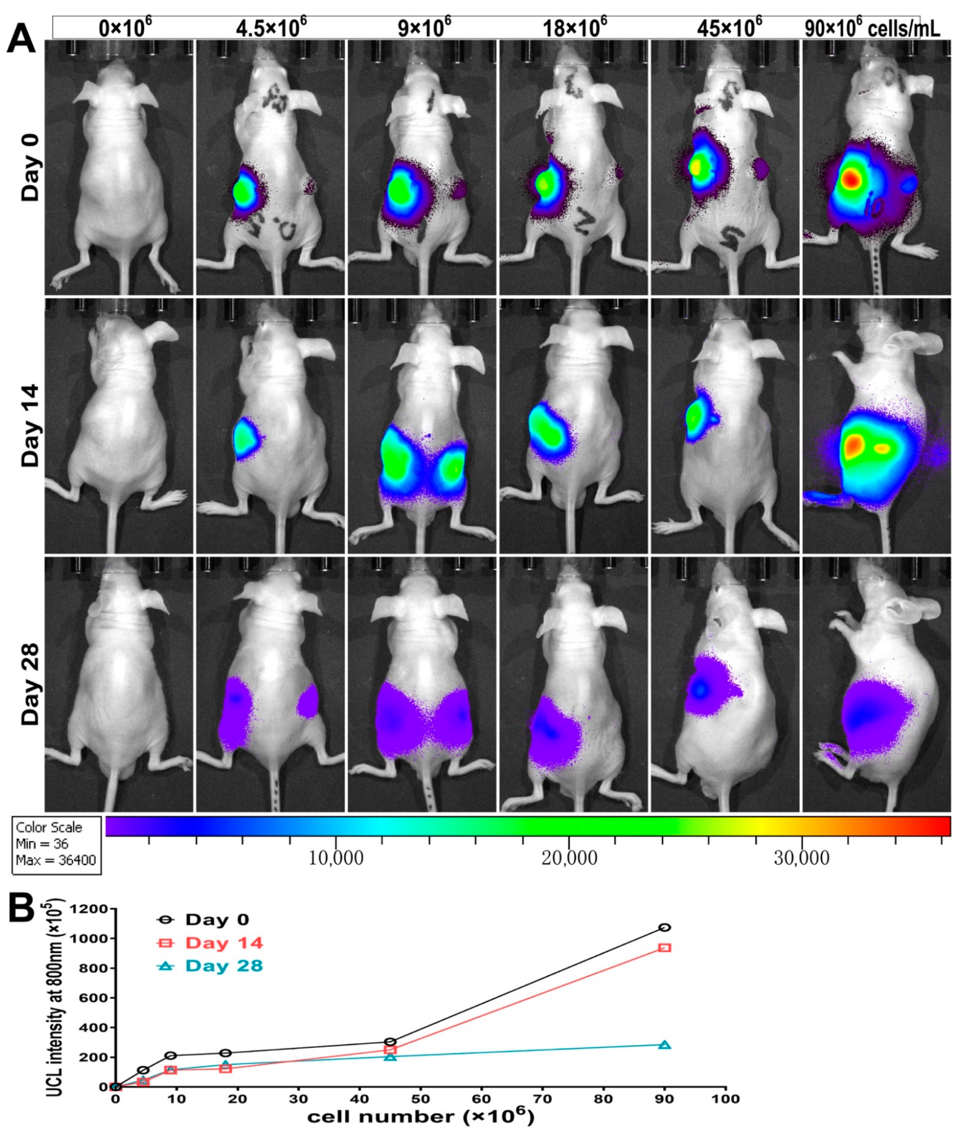 Biomolecules 11 00958 g011 Biomolecules 11 00958 g011