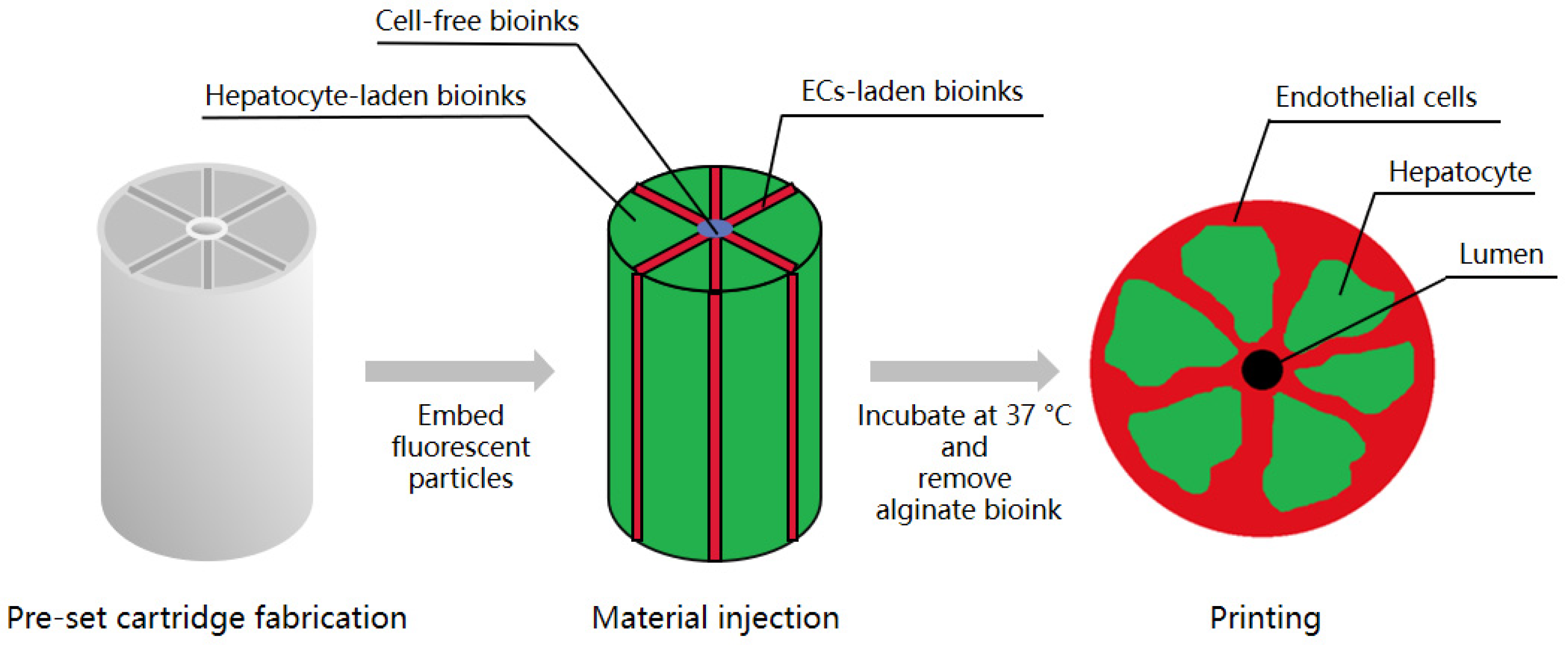 Biomolecules 11 00966 g002