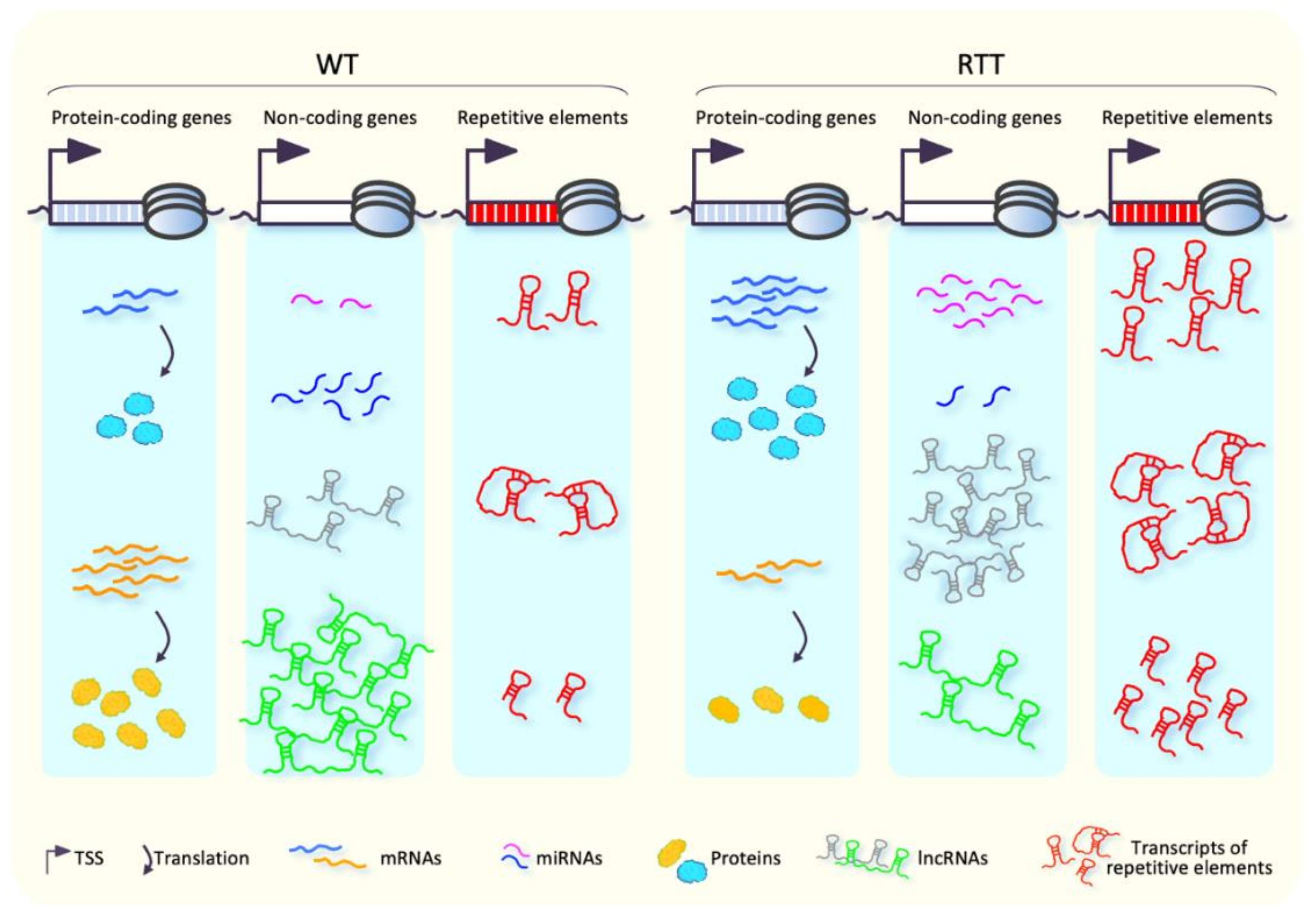Biomolecules 11 00967 g004 Biomolecules 11 00967 g004