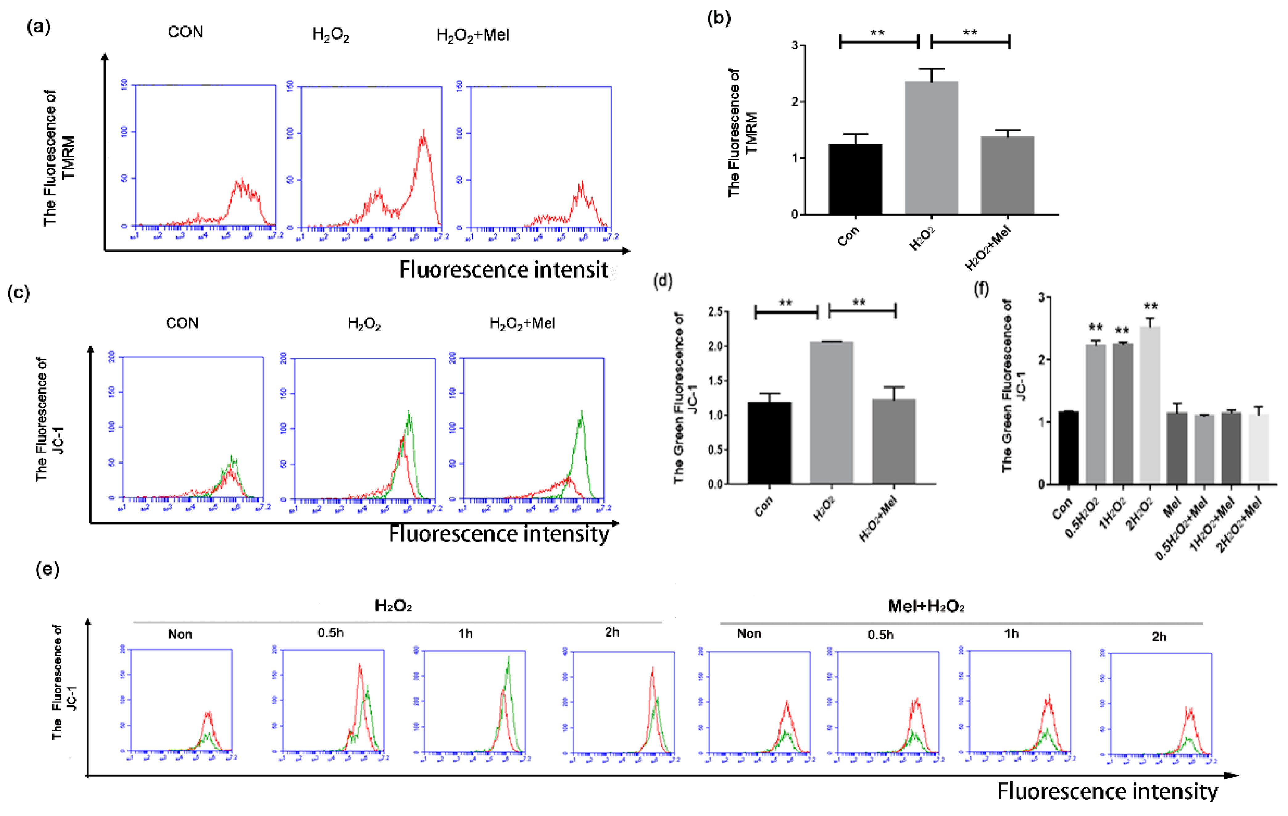 Biomolecules 11 00968 g003
