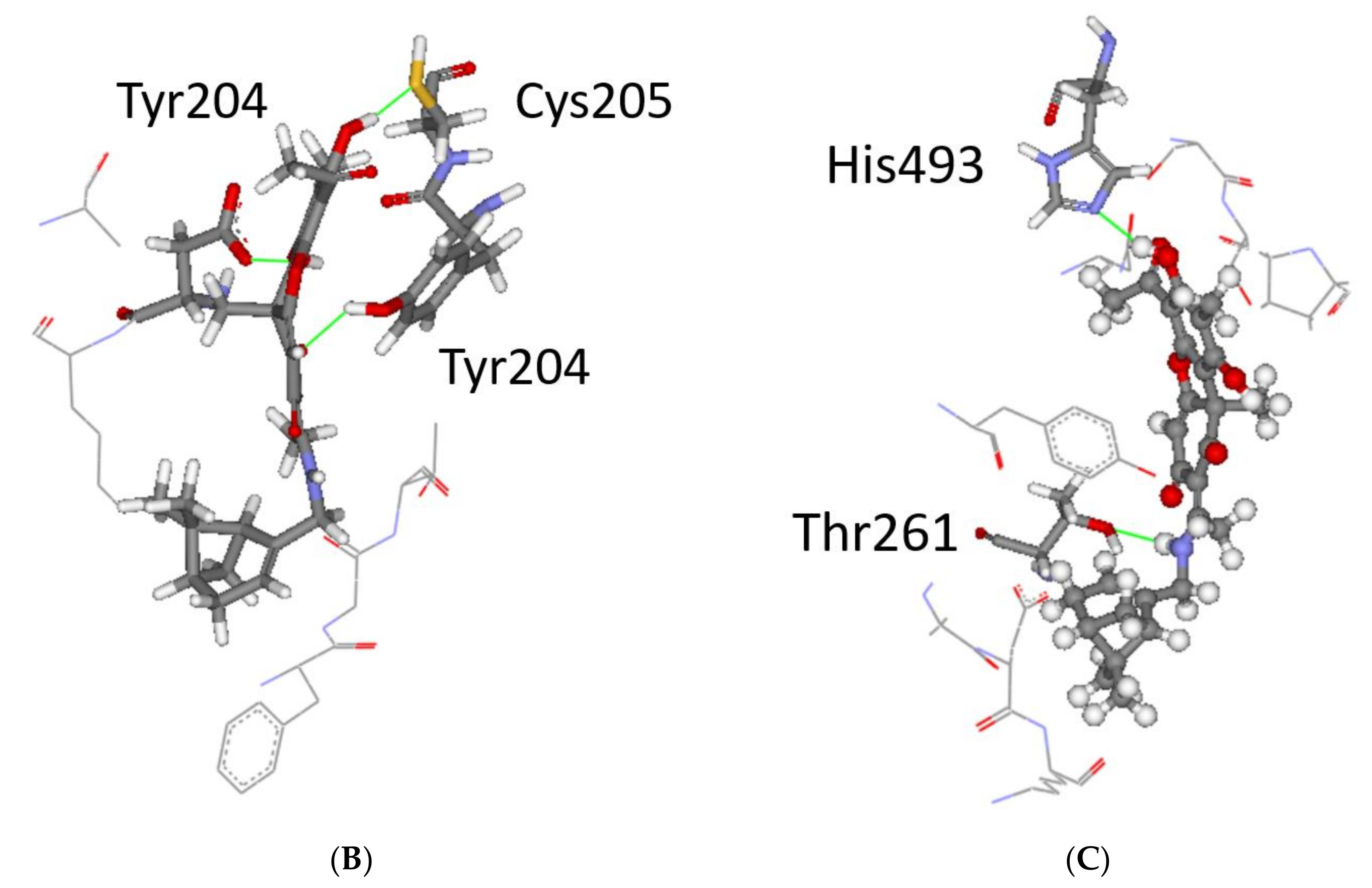 Biomolecules 11 00973 g011b