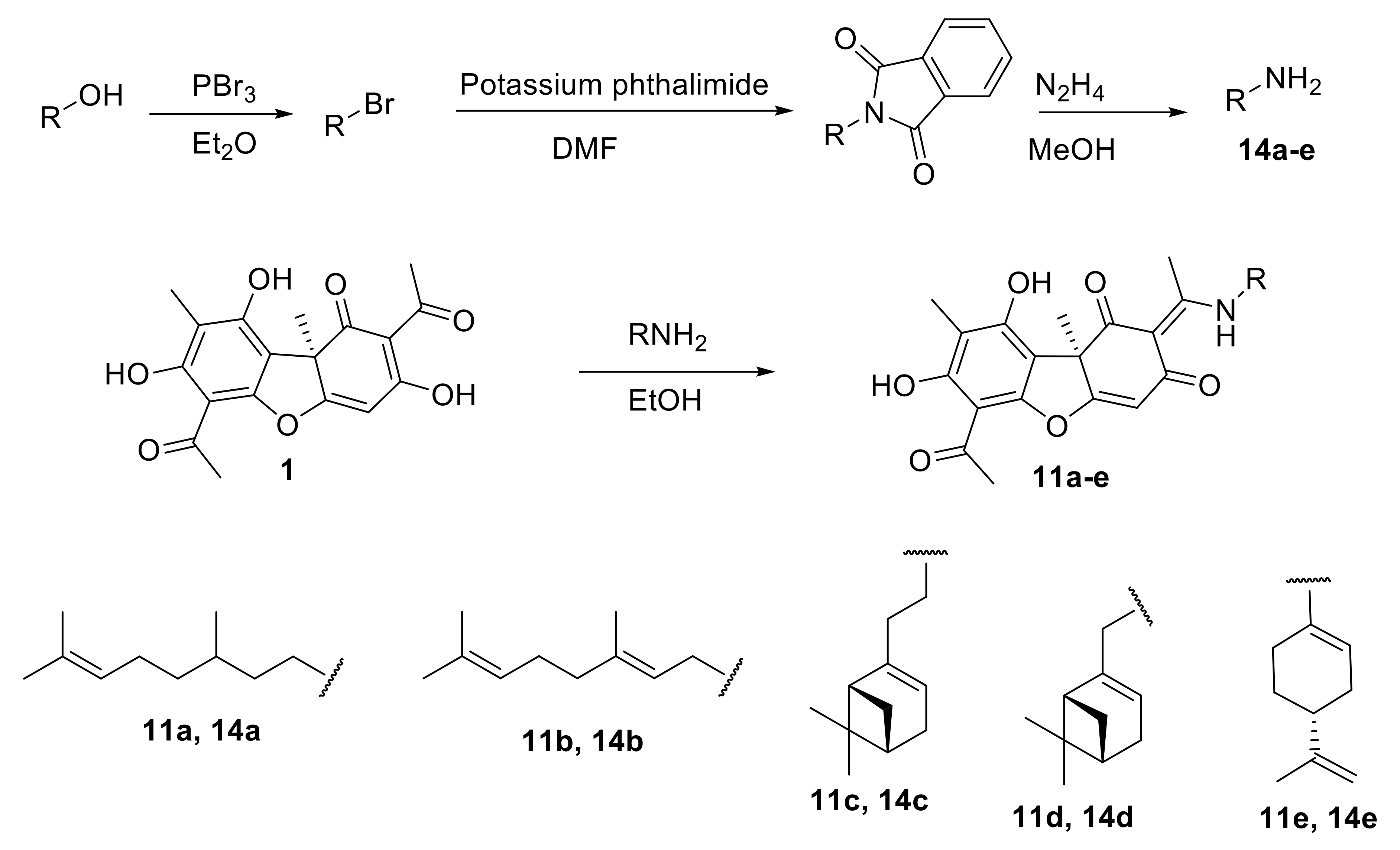 Biomolecules 11 00973 sch001