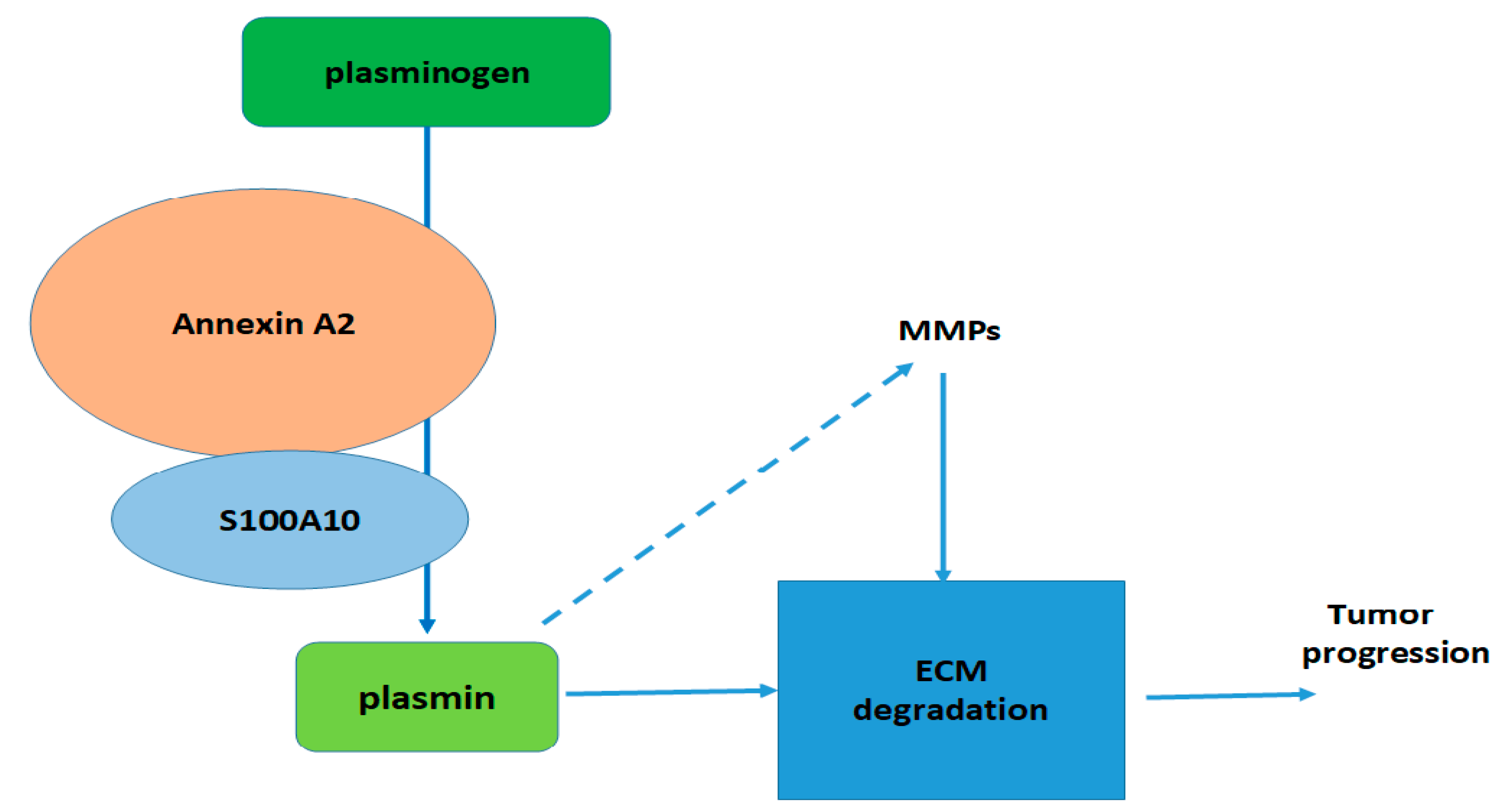 Biomolecules 11 00974 g001 Biomolecules 11 00974 g001
