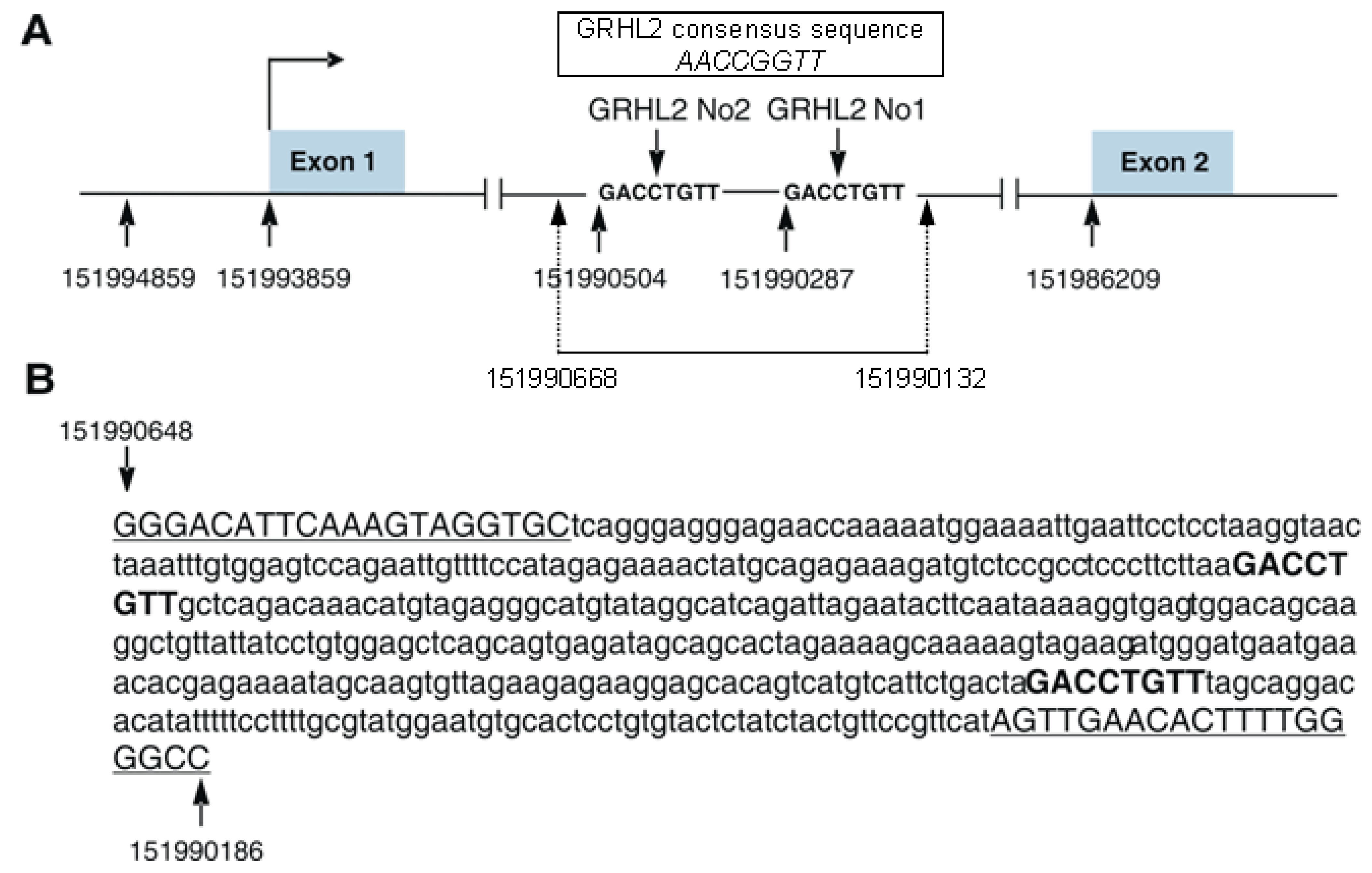 Biomolecules 11 00974 g002 Biomolecules 11 00974 g002