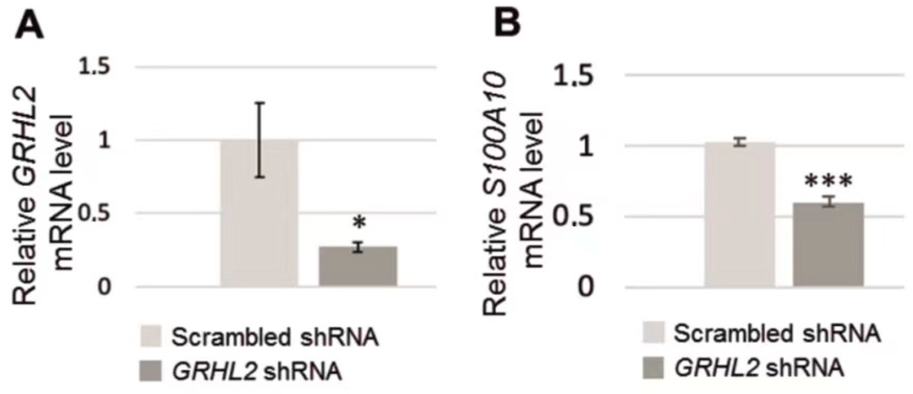 Biomolecules 11 00974 g004 Biomolecules 11 00974 g004