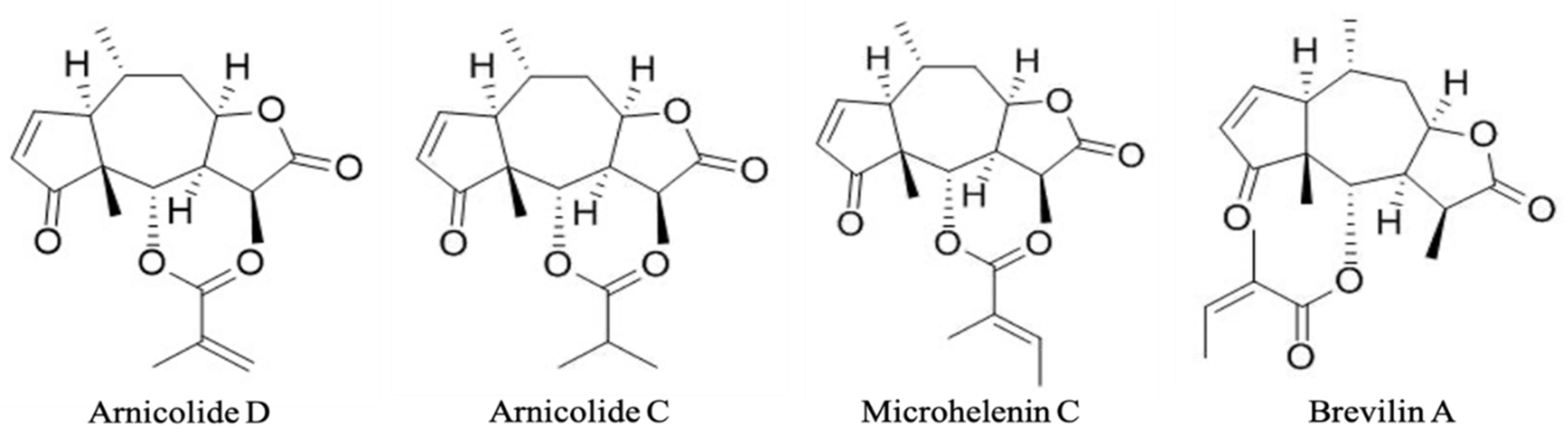 Biomolecules 11 00976 g002 550