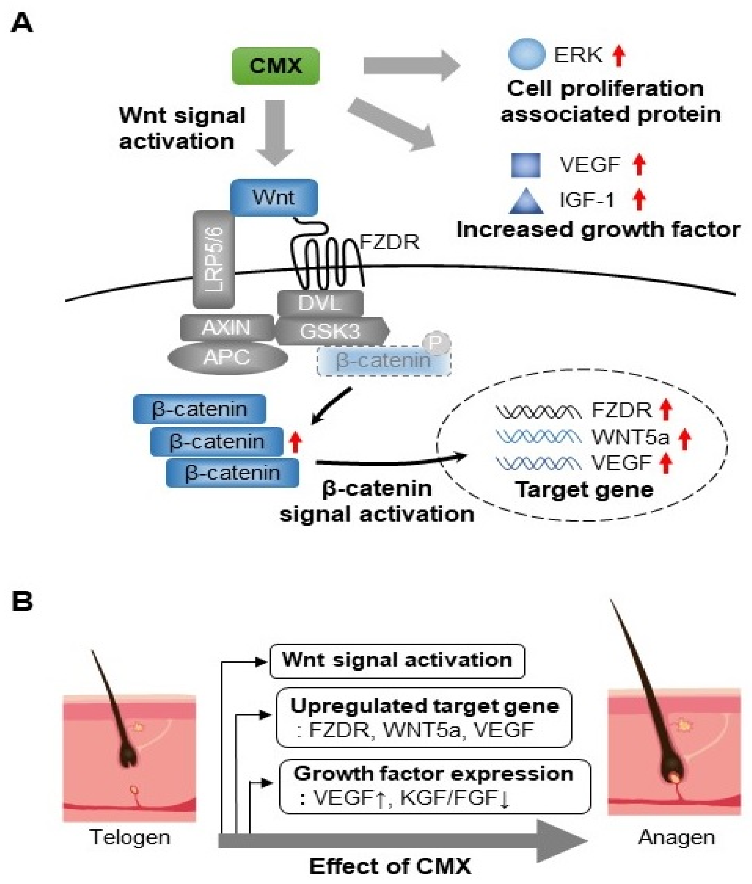 Biomolecules 11 00976 g009 550