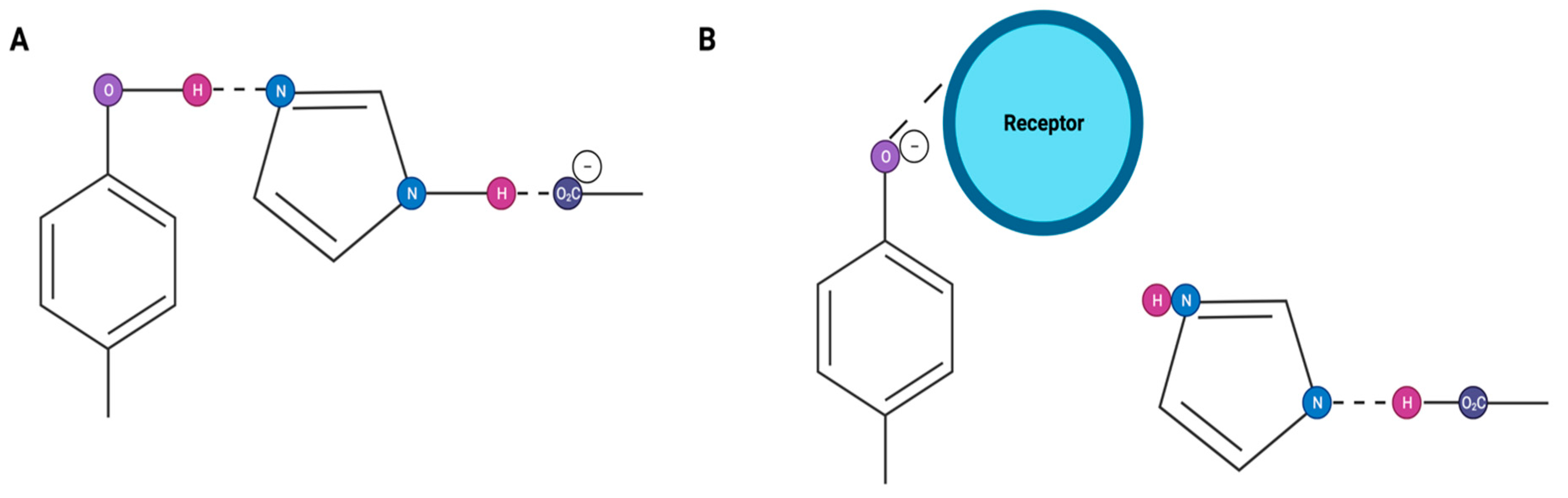 Biomolecules 11 00979 g001