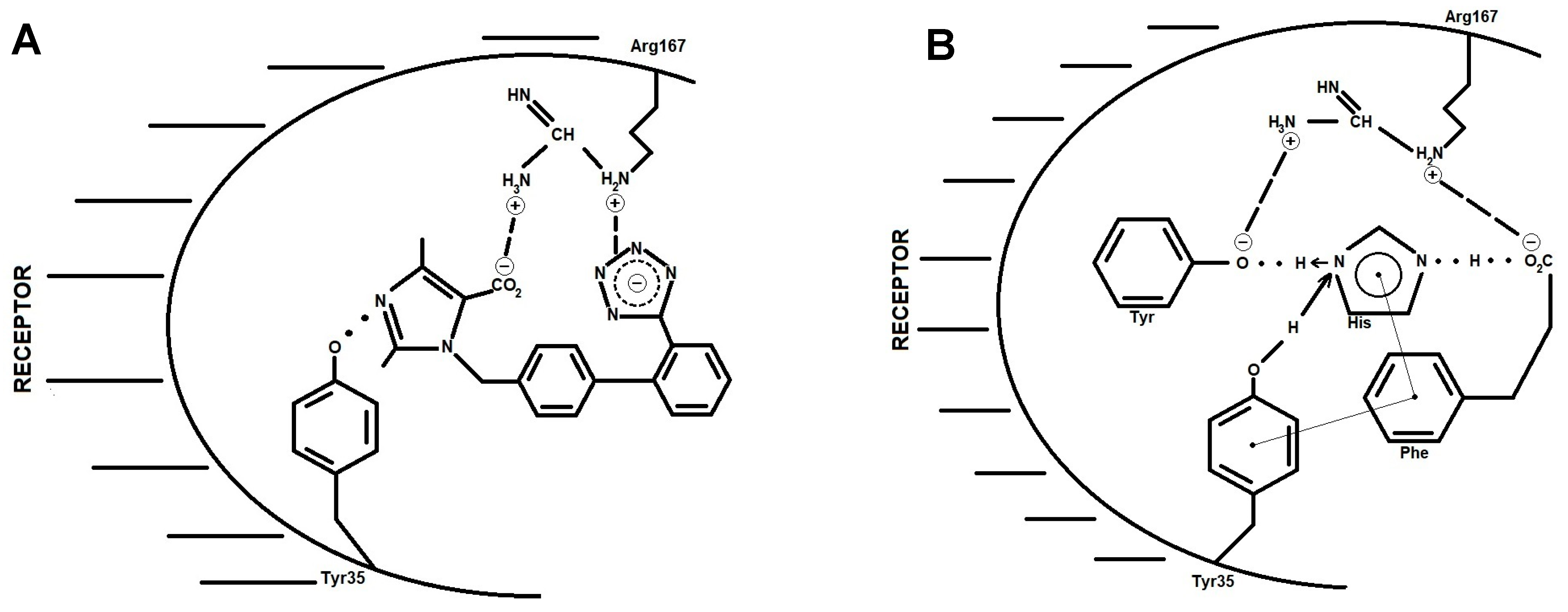 Biomolecules 11 00979 g006