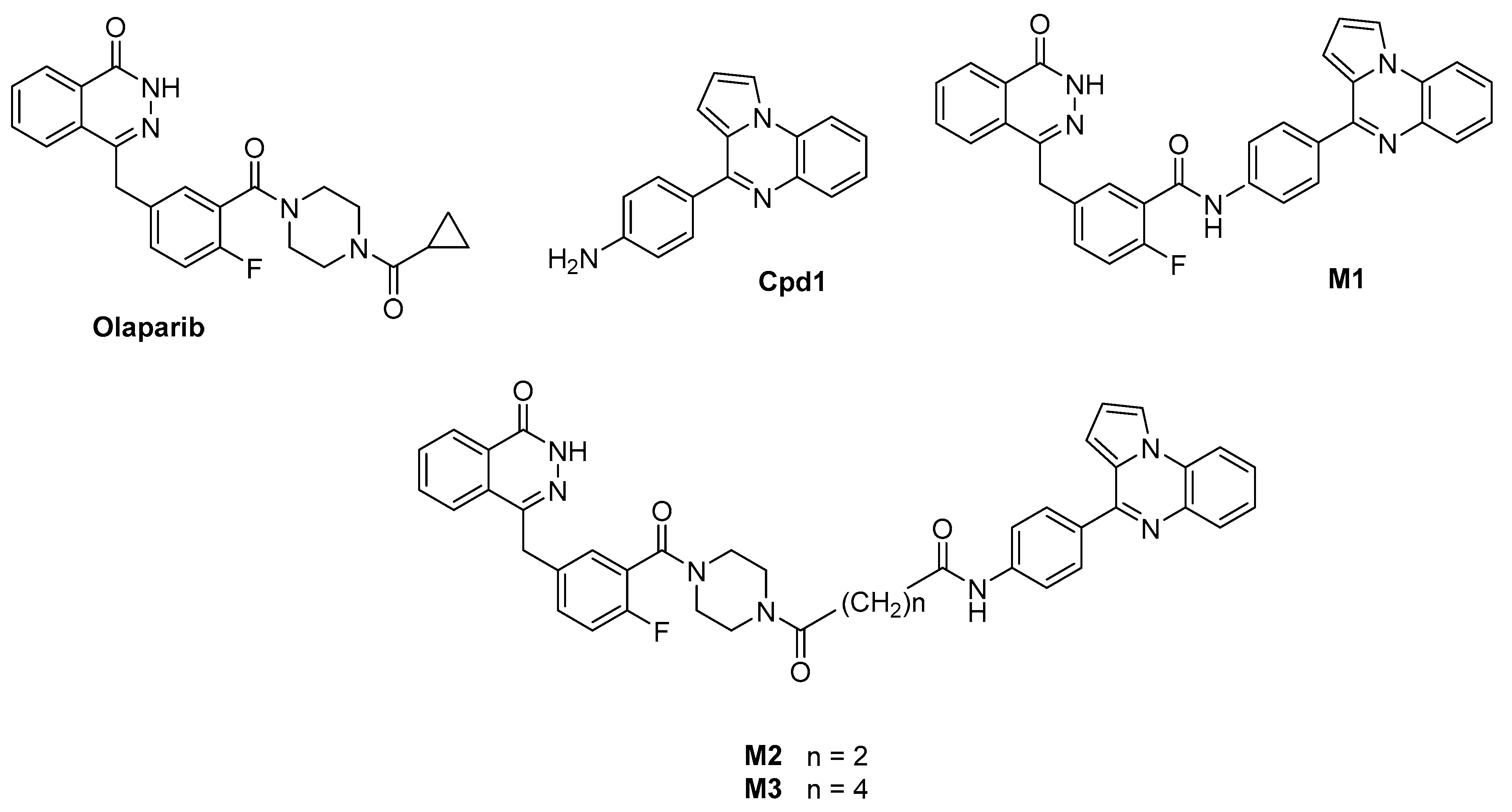 Biomolecules 11 00981 g001