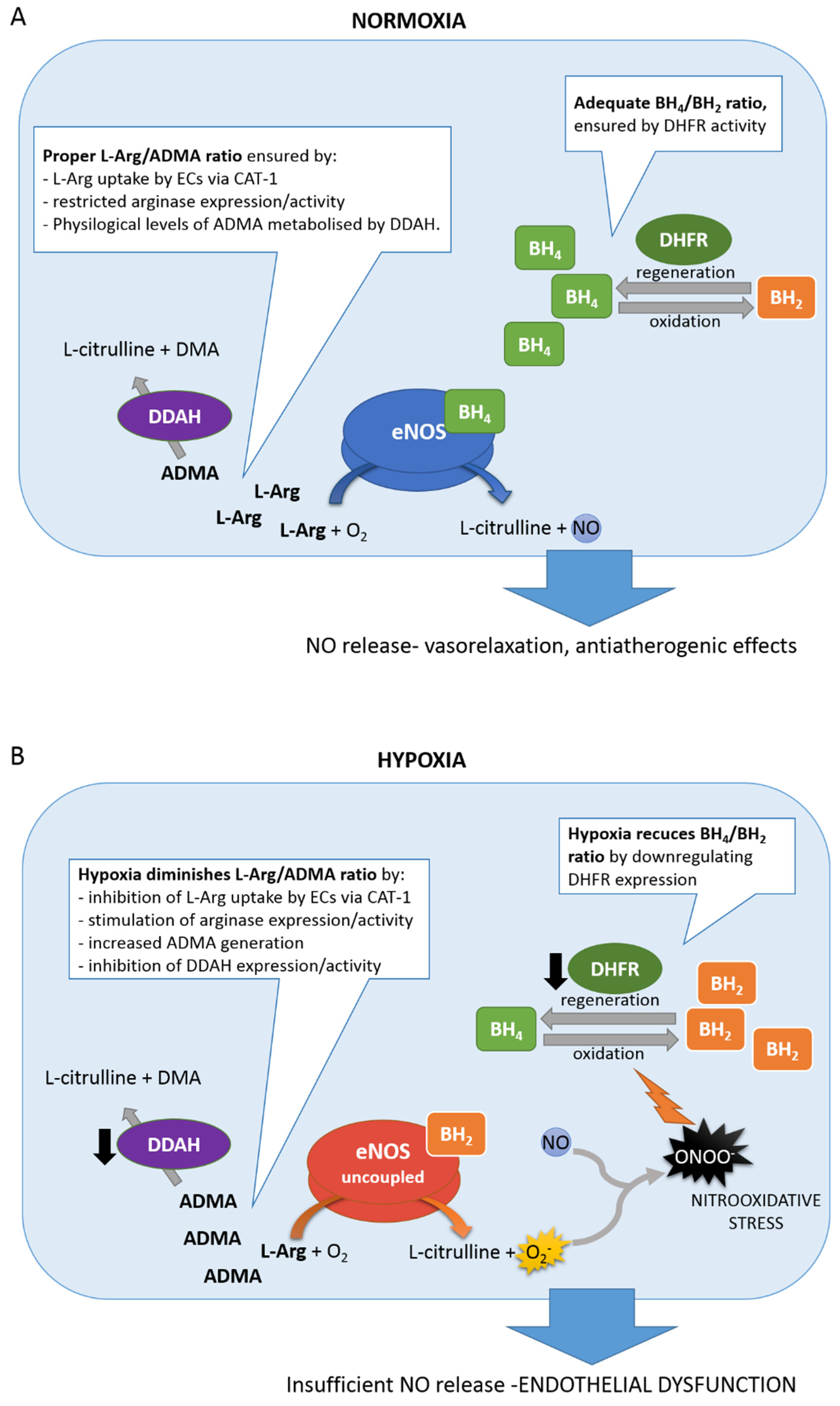 Biomolecules 11 00982 g002 Biomolecules 11 00982 g002