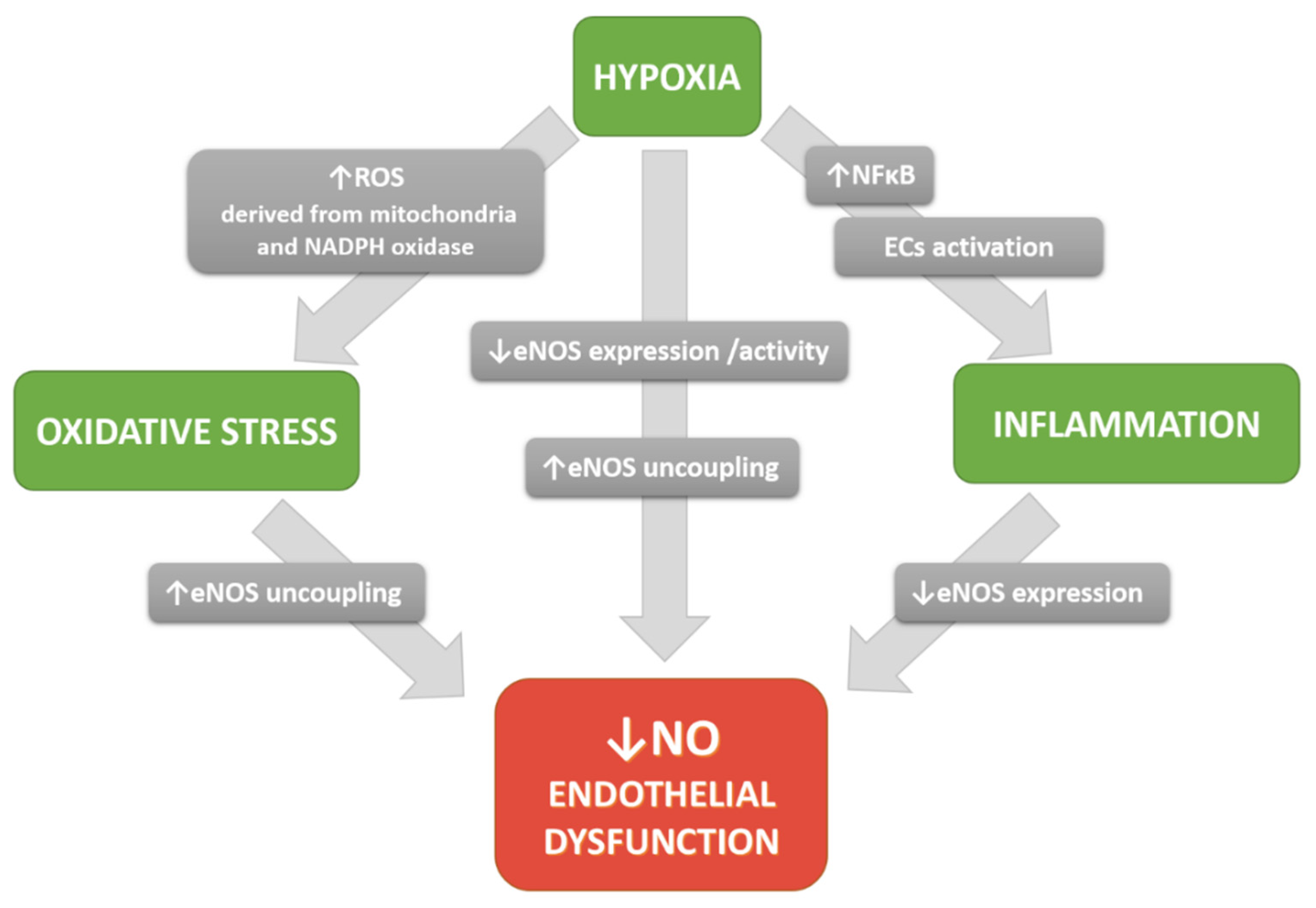Biomolecules 11 00982 g003 Biomolecules 11 00982 g003