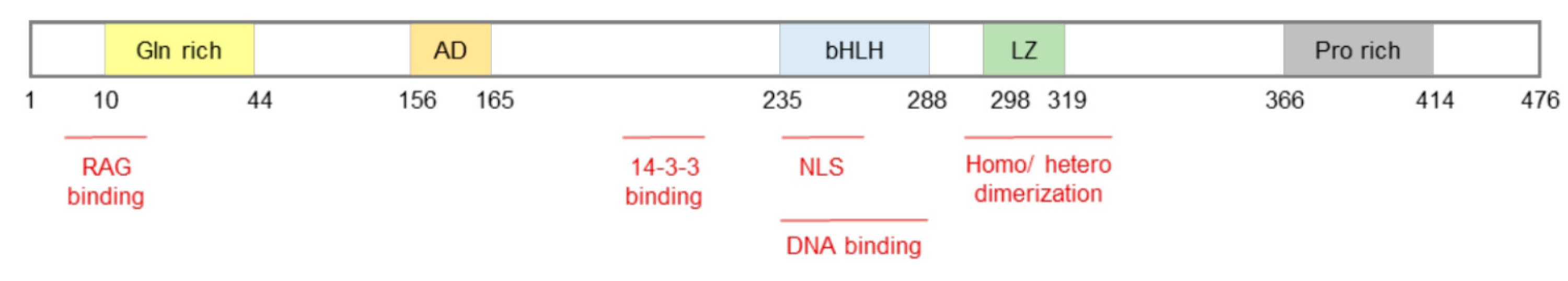 Biomolecules 11 00985 g001 Biomolecules 11 00985 g001
