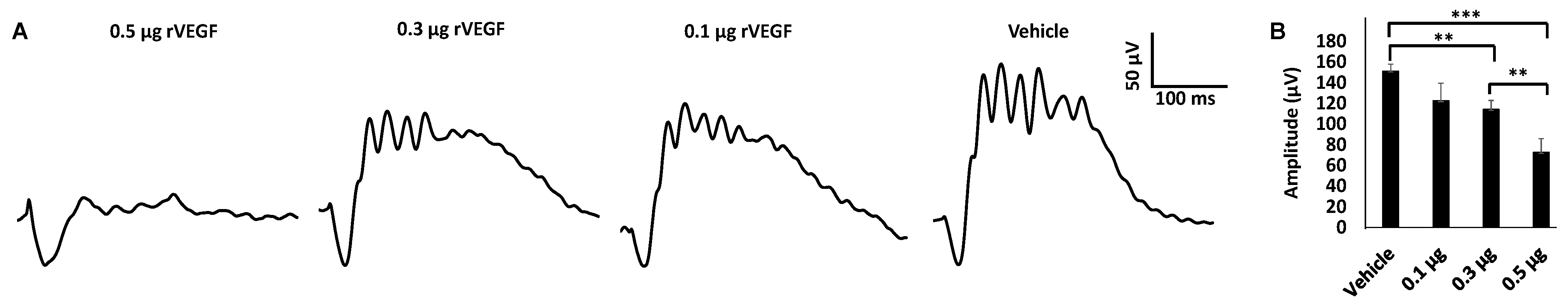 Biomolecules 11 00988 g002