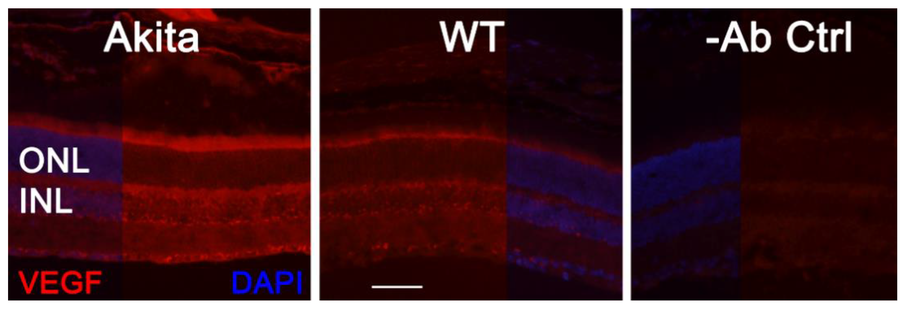 Biomolecules 11 00988 g005