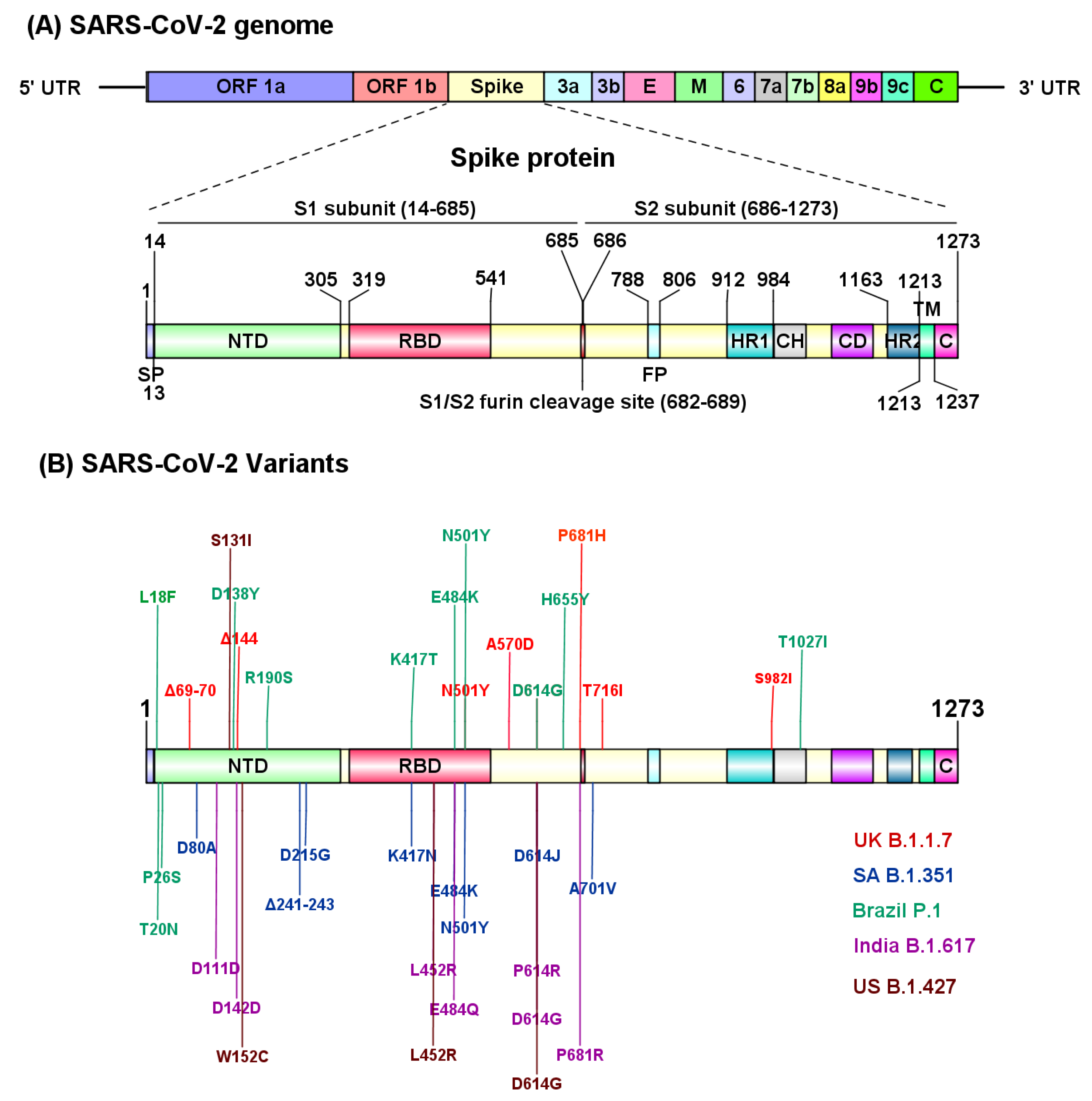 Biomolecules 11 00993 g002 550