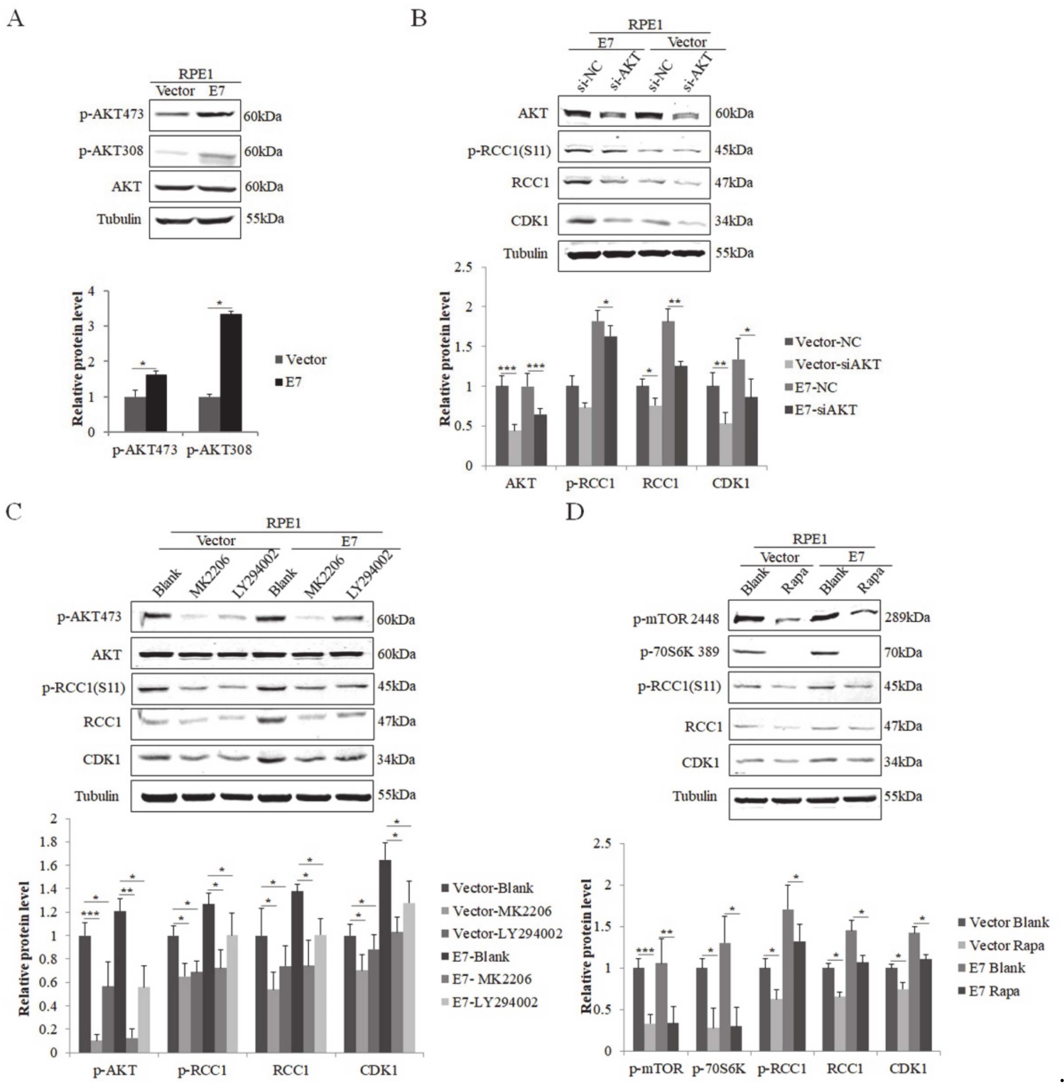 Biomolecules 11 00995 g002 Biomolecules 11 00995 g002