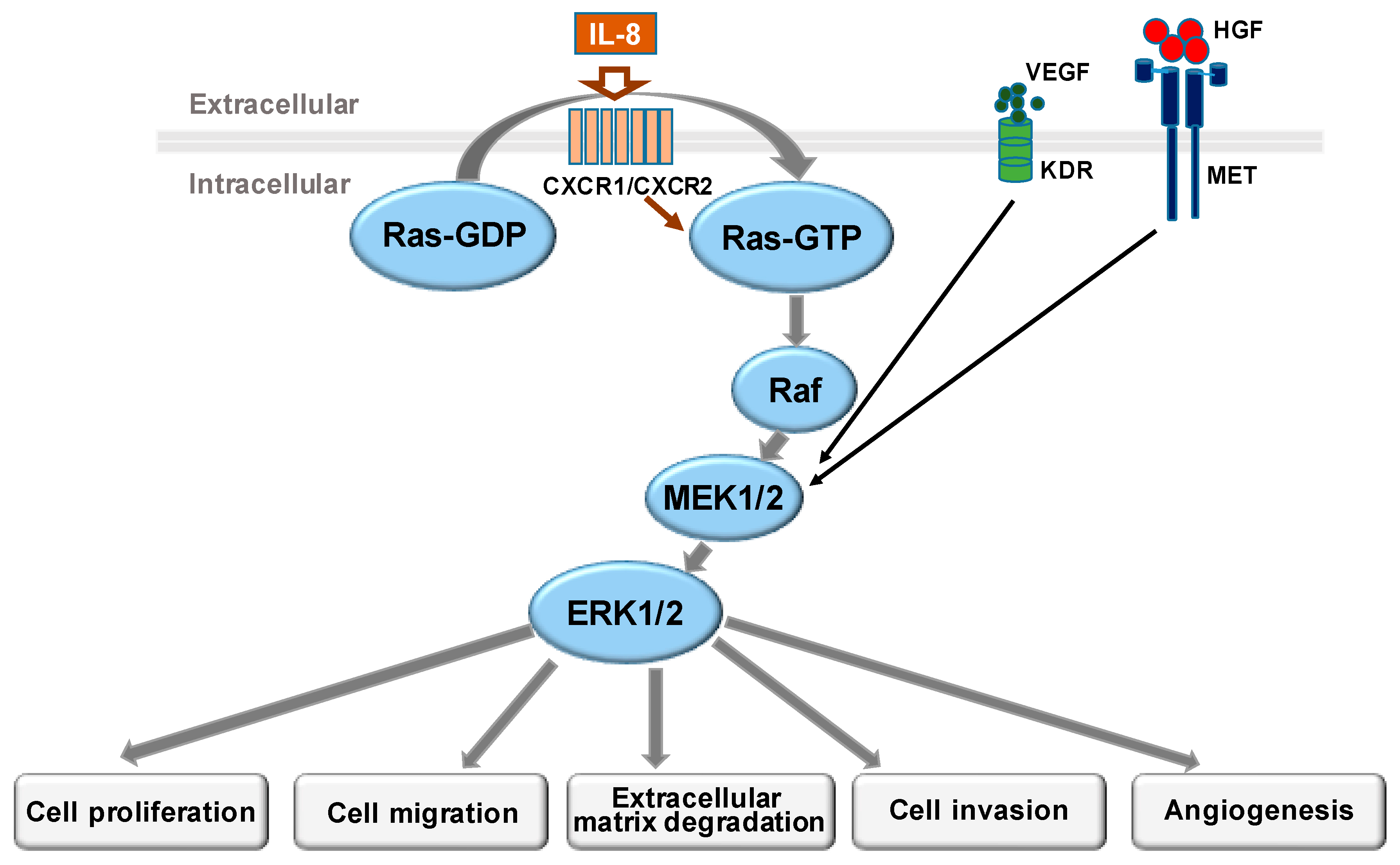 Biomolecules 11 00998 g001