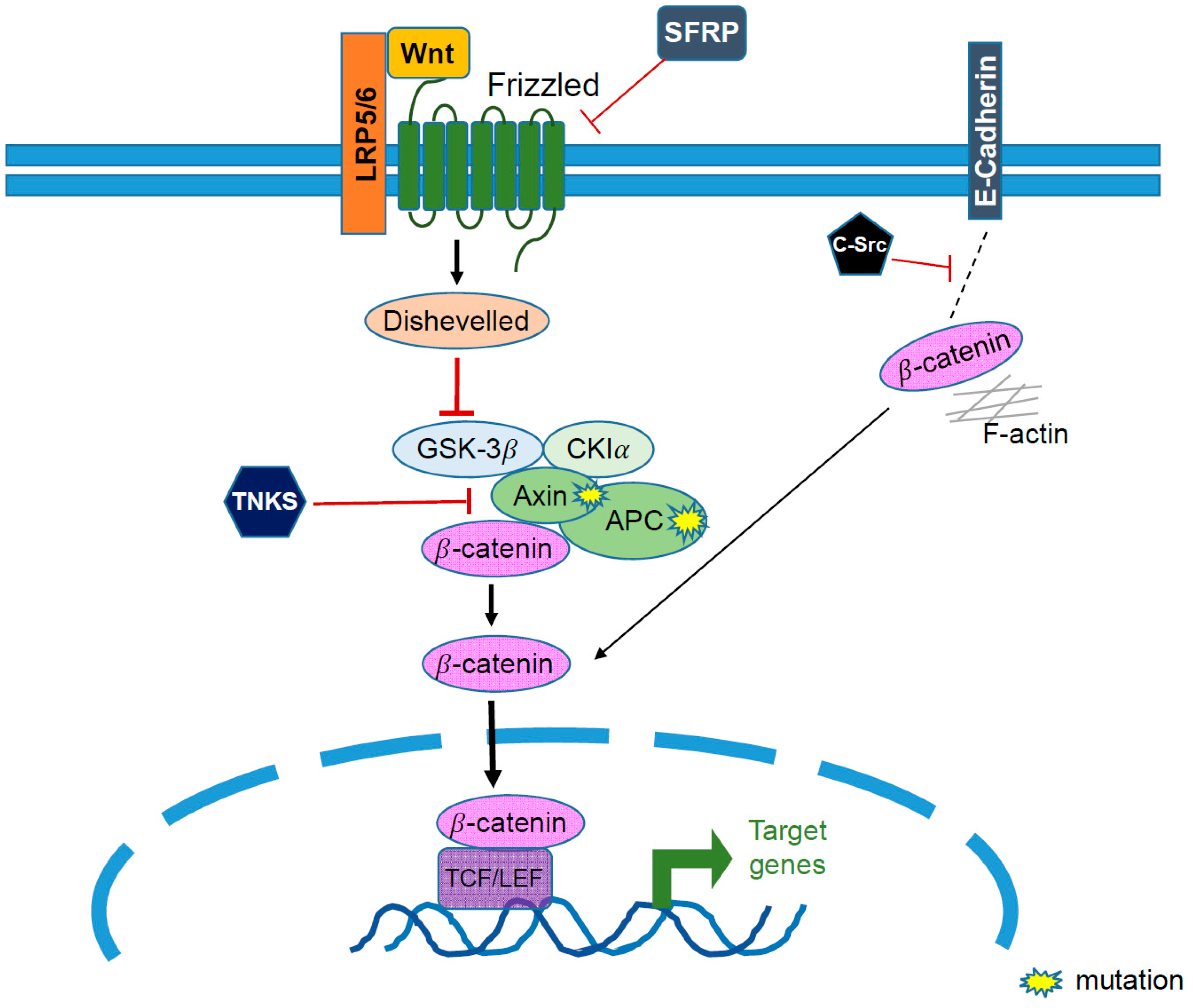 Biomolecules 11 00998 g004
