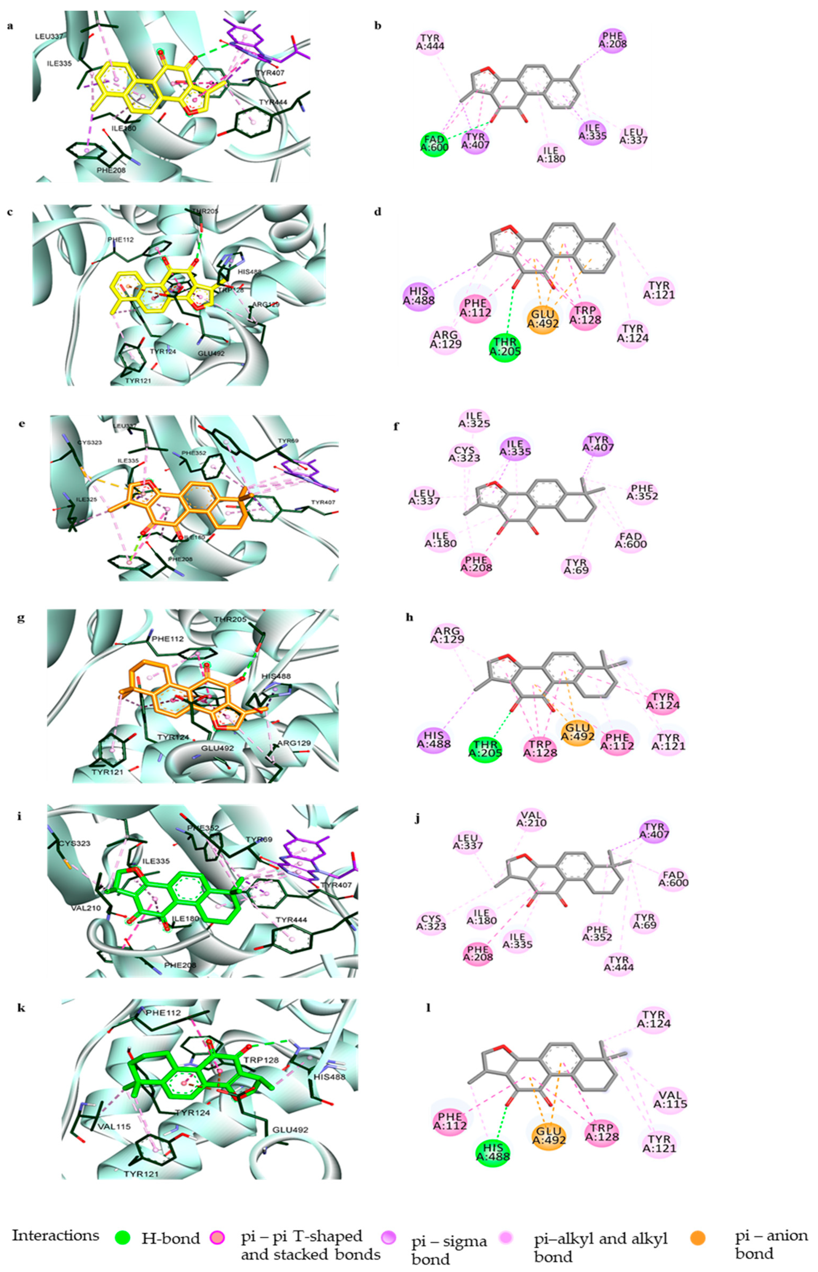 Biomolecules 11 01001 g004 Biomolecules 11 01001 g004