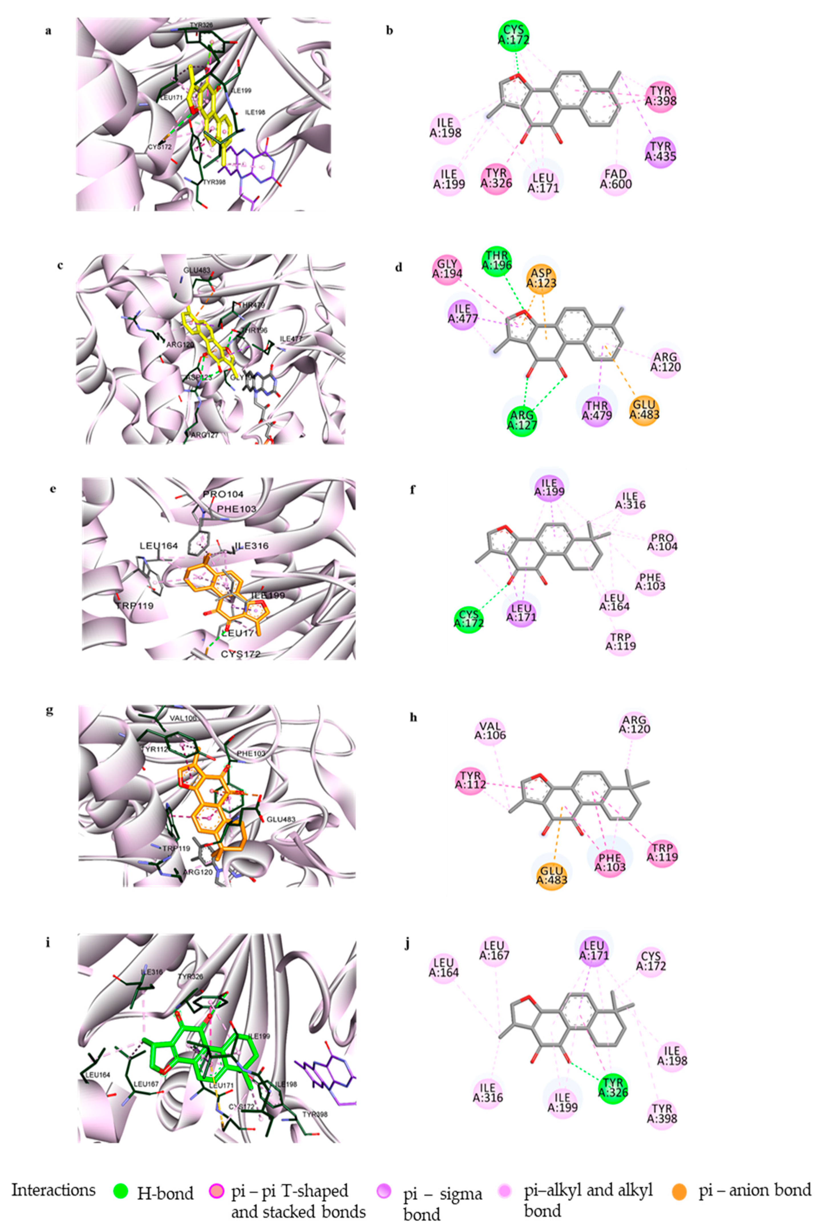 Biomolecules 11 01001 g005 Biomolecules 11 01001 g005