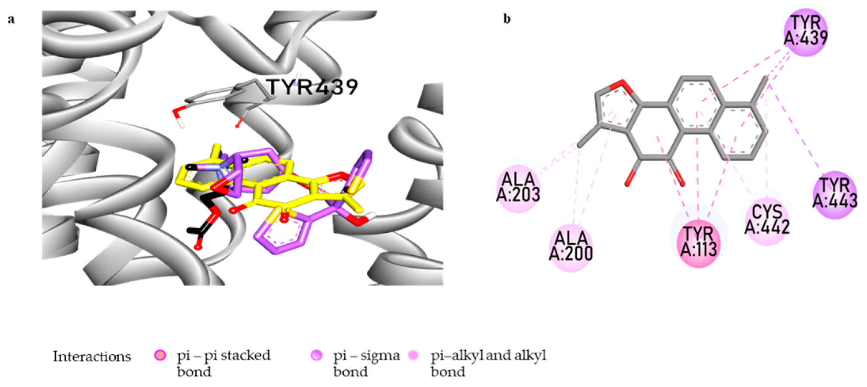 Biomolecules 11 01001 g006 Biomolecules 11 01001 g006