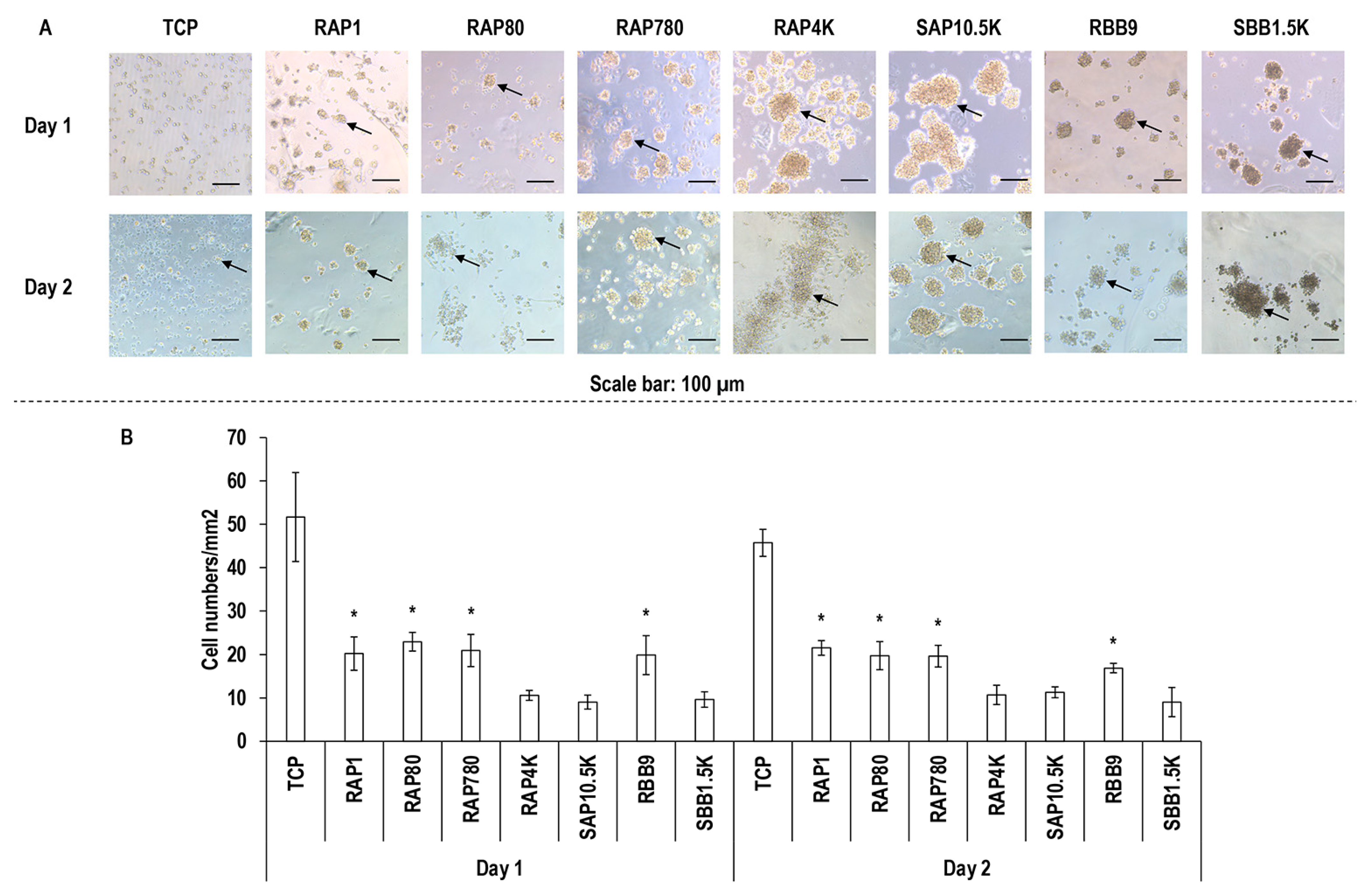 Biomolecules 11 01003 g004 Biomolecules 11 01003 g004