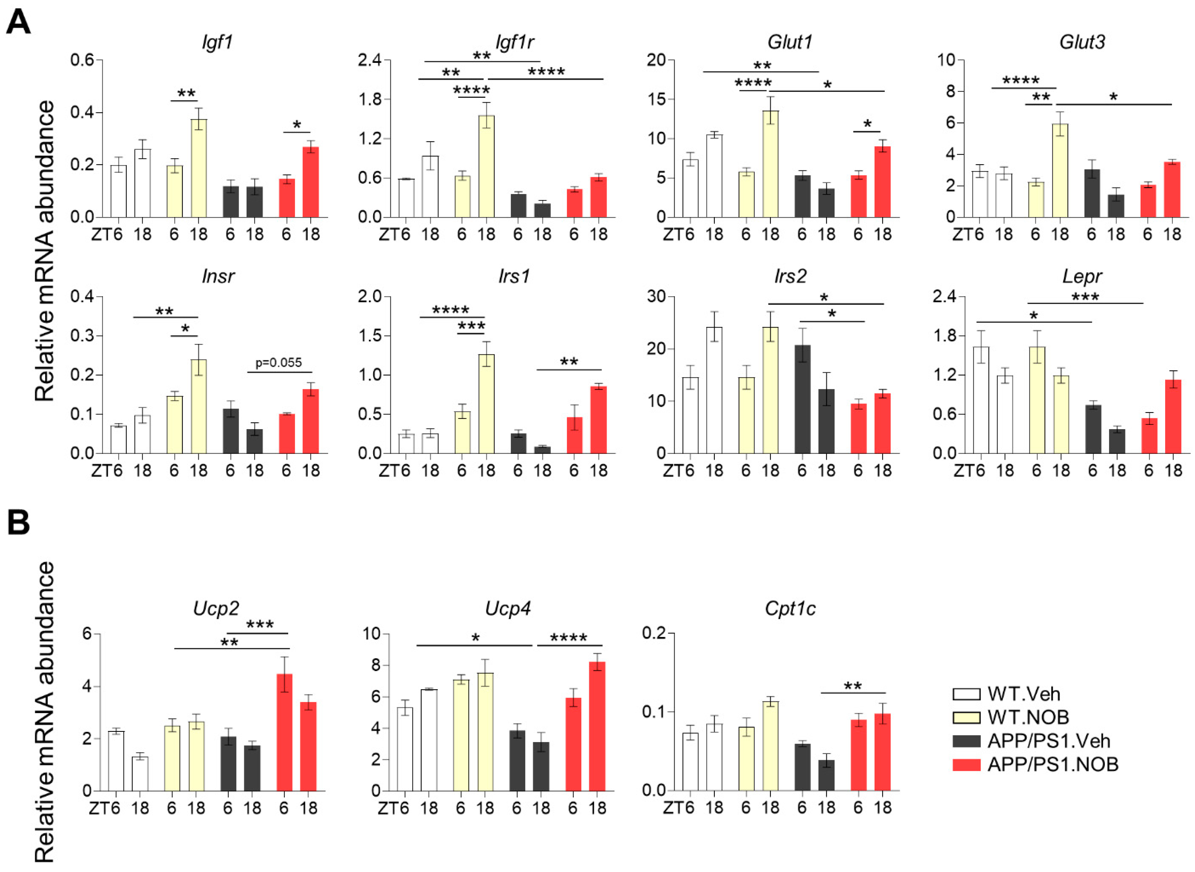 Biomolecules 11 01004 g004