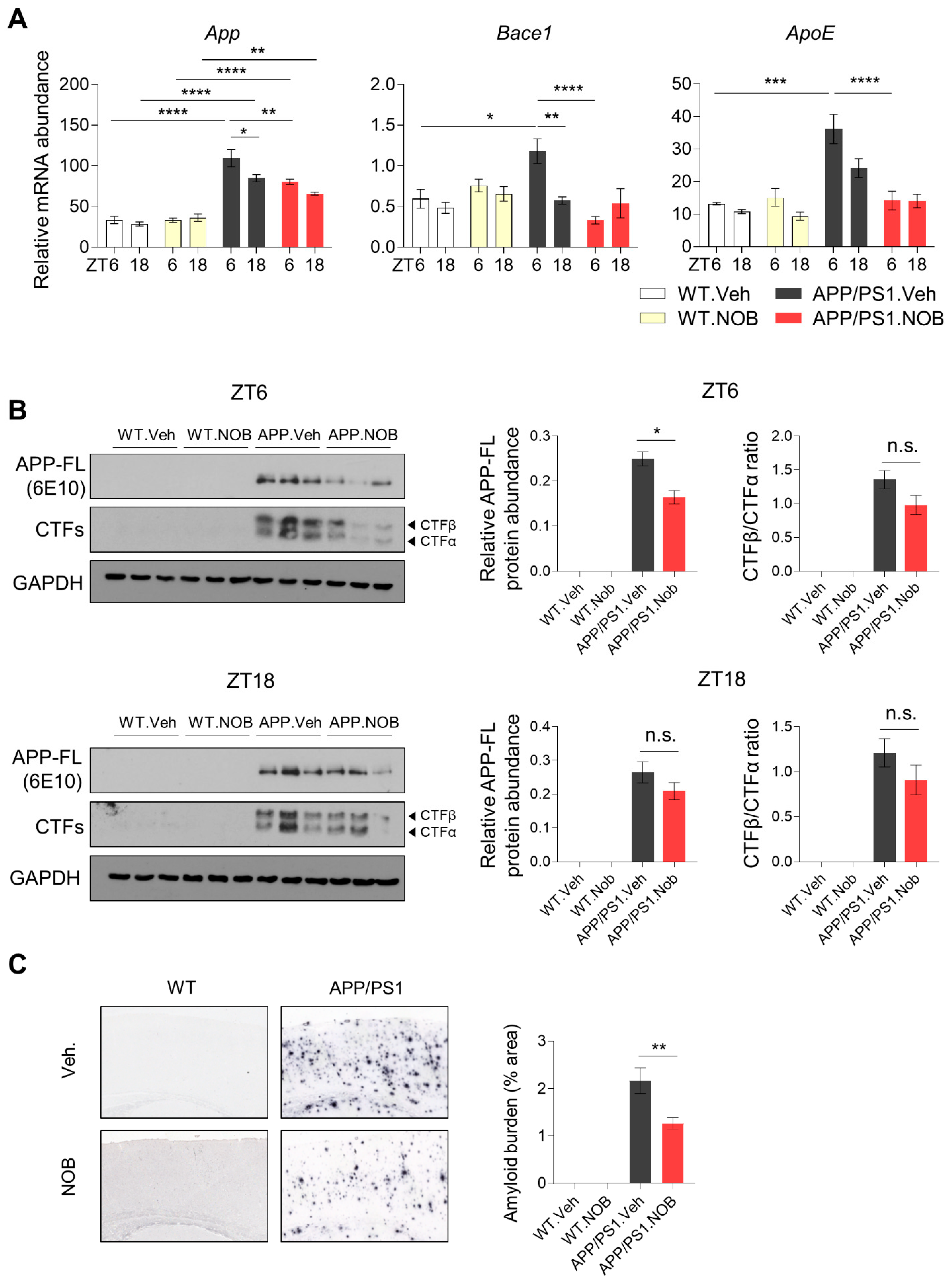 Biomolecules 11 01004 g005