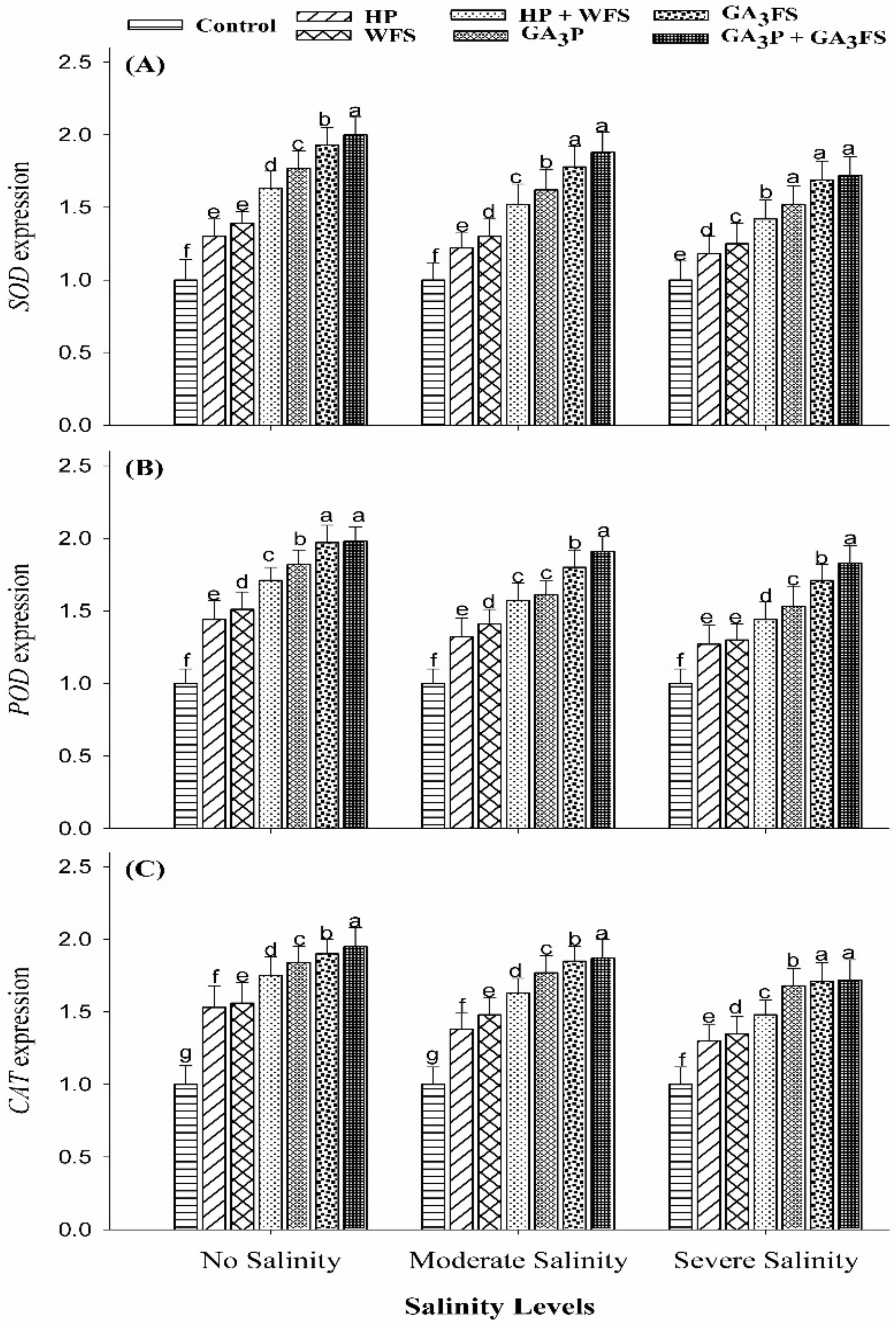 Biomolecules 11 01005 g006 550