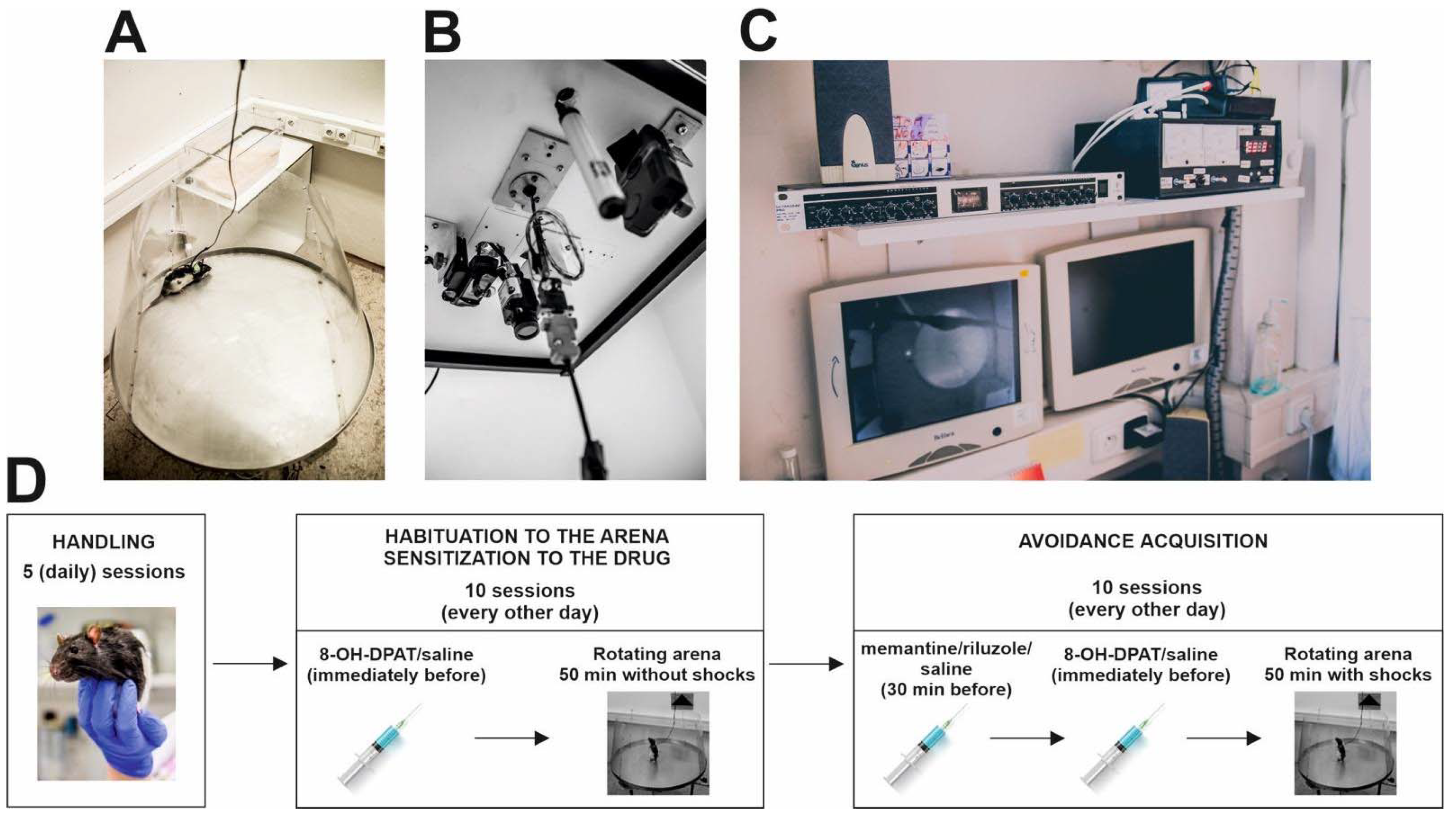 Biomolecules 11 01007 g001