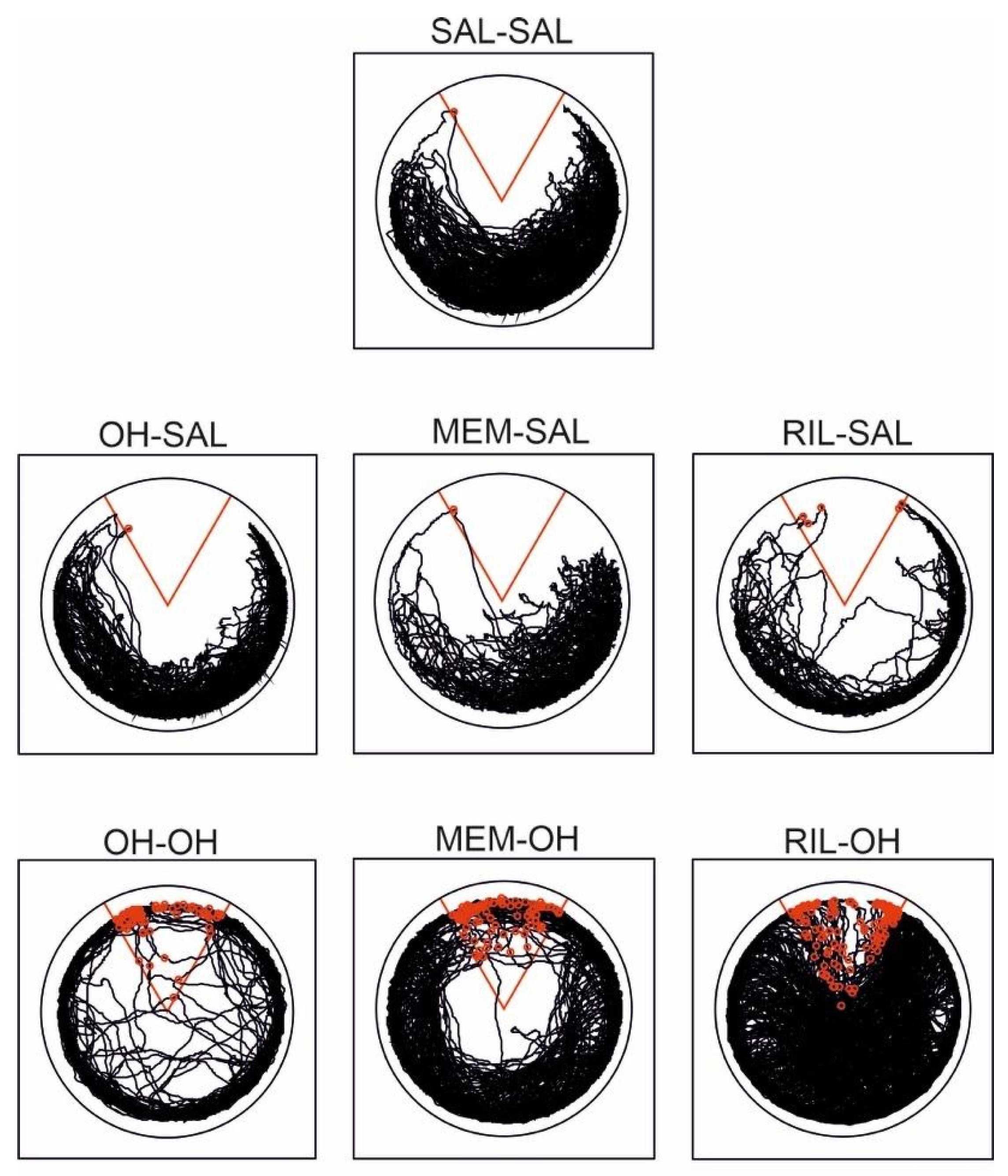 Biomolecules 11 01007 g004