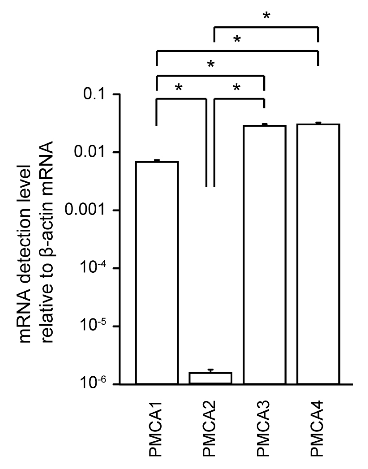 Biomolecules 11 01010 g001